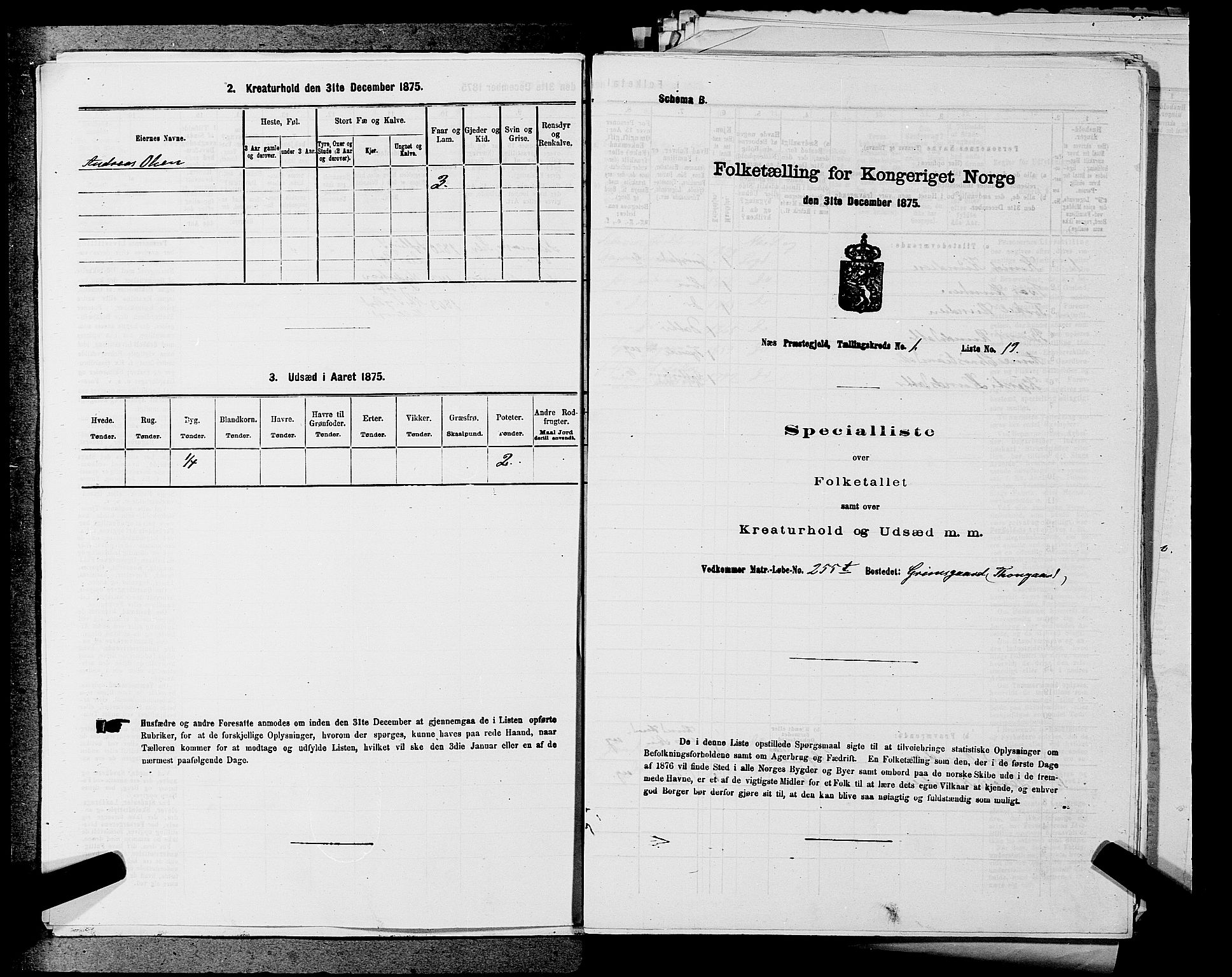SAKO, 1875 census for 0616P Nes, 1875, p. 216