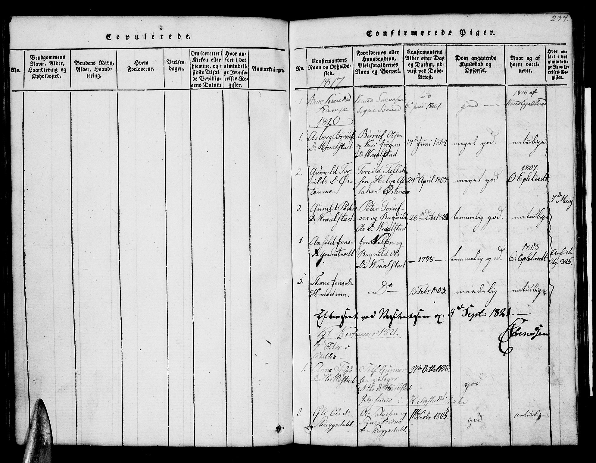 Åmli sokneprestkontor, SAK/1111-0050/F/Fb/Fbb/L0001: Parish register (copy) no. B 1, 1816-1889, p. 234