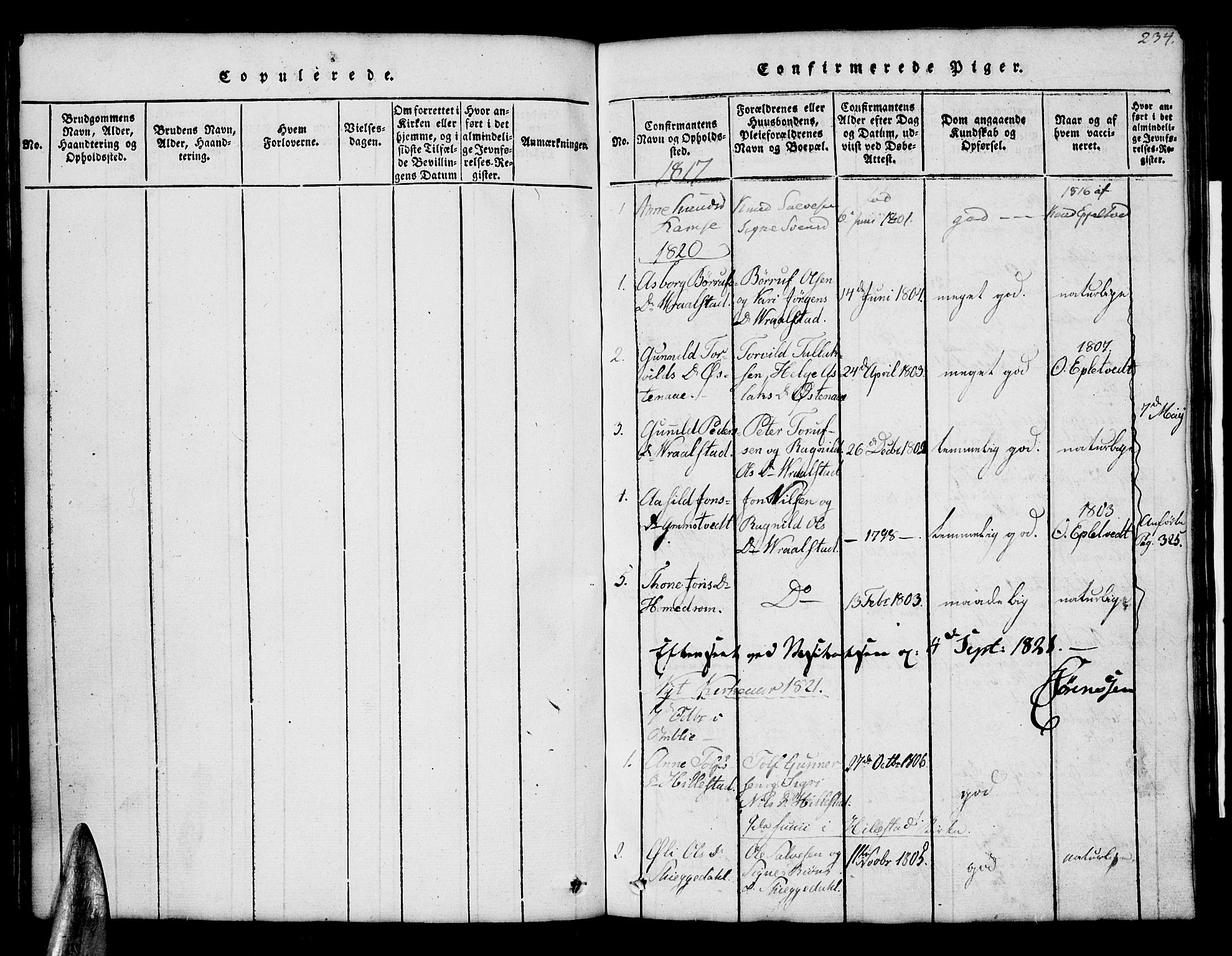 Åmli sokneprestkontor, AV/SAK-1111-0050/F/Fb/Fbb/L0001: Parish register (copy) no. B 1, 1816-1889, p. 234