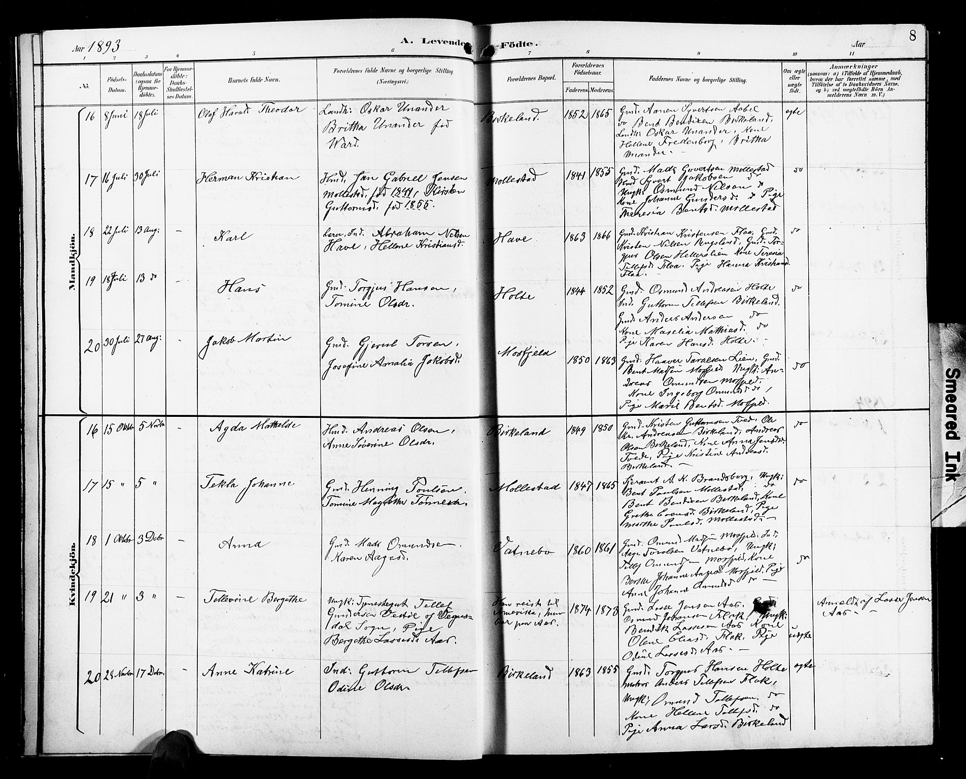 Birkenes sokneprestkontor, AV/SAK-1111-0004/F/Fb/L0004: Parish register (copy) no. B 4, 1893-1930, p. 8