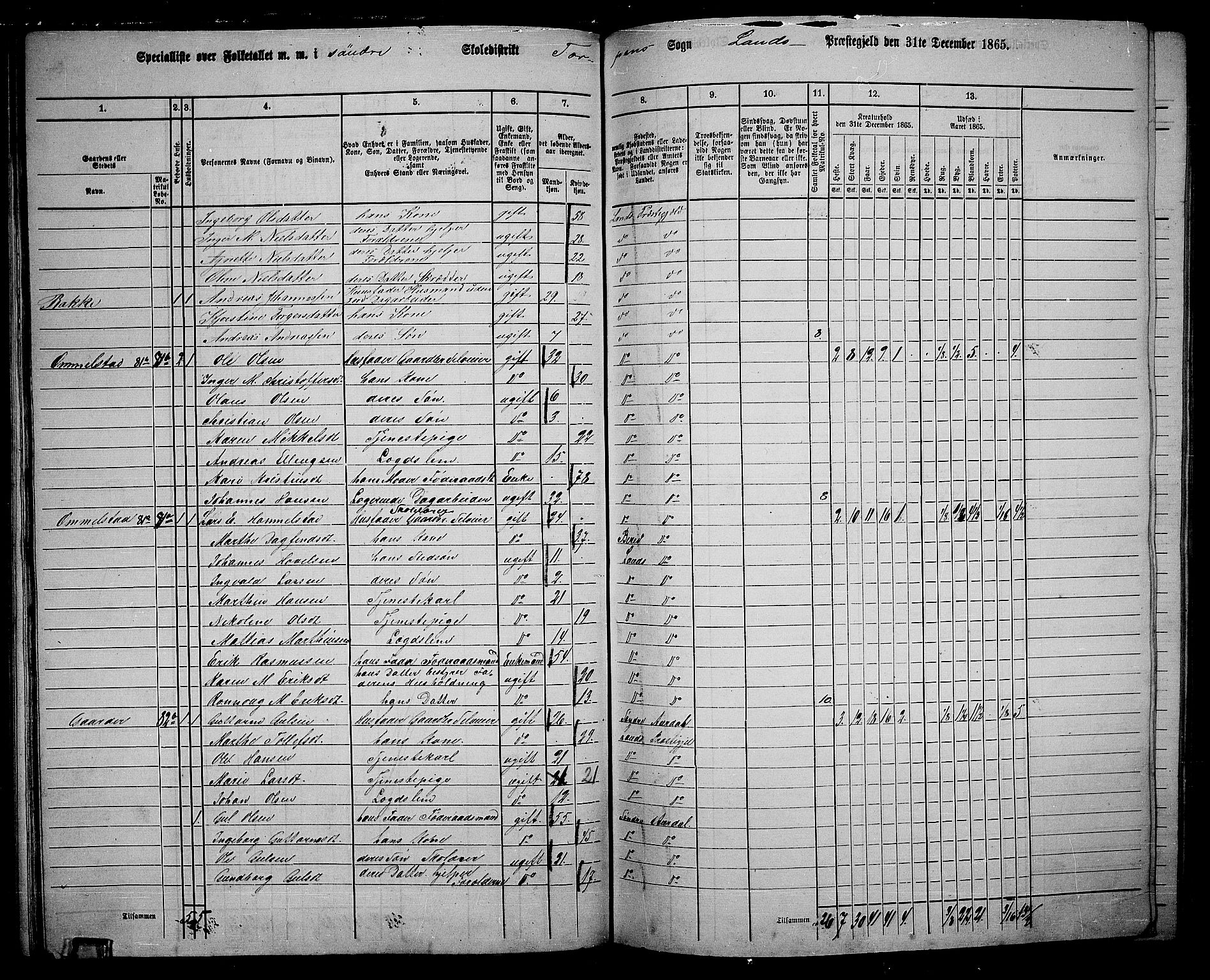 RA, 1865 census for Land, 1865, p. 85