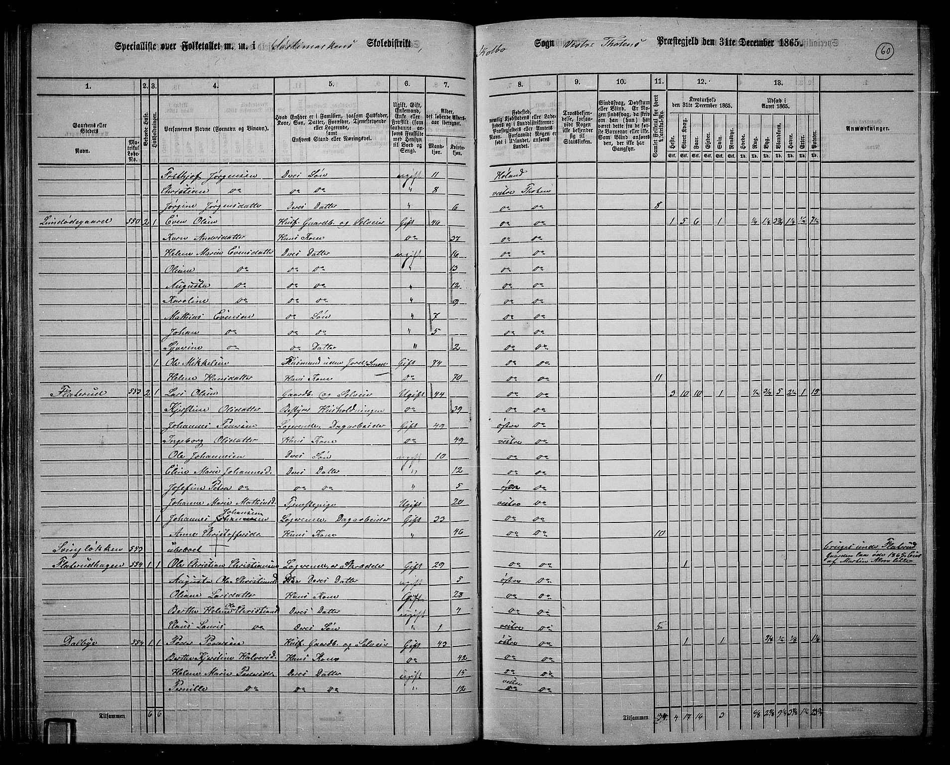 RA, 1865 census for Vestre Toten, 1865, p. 217