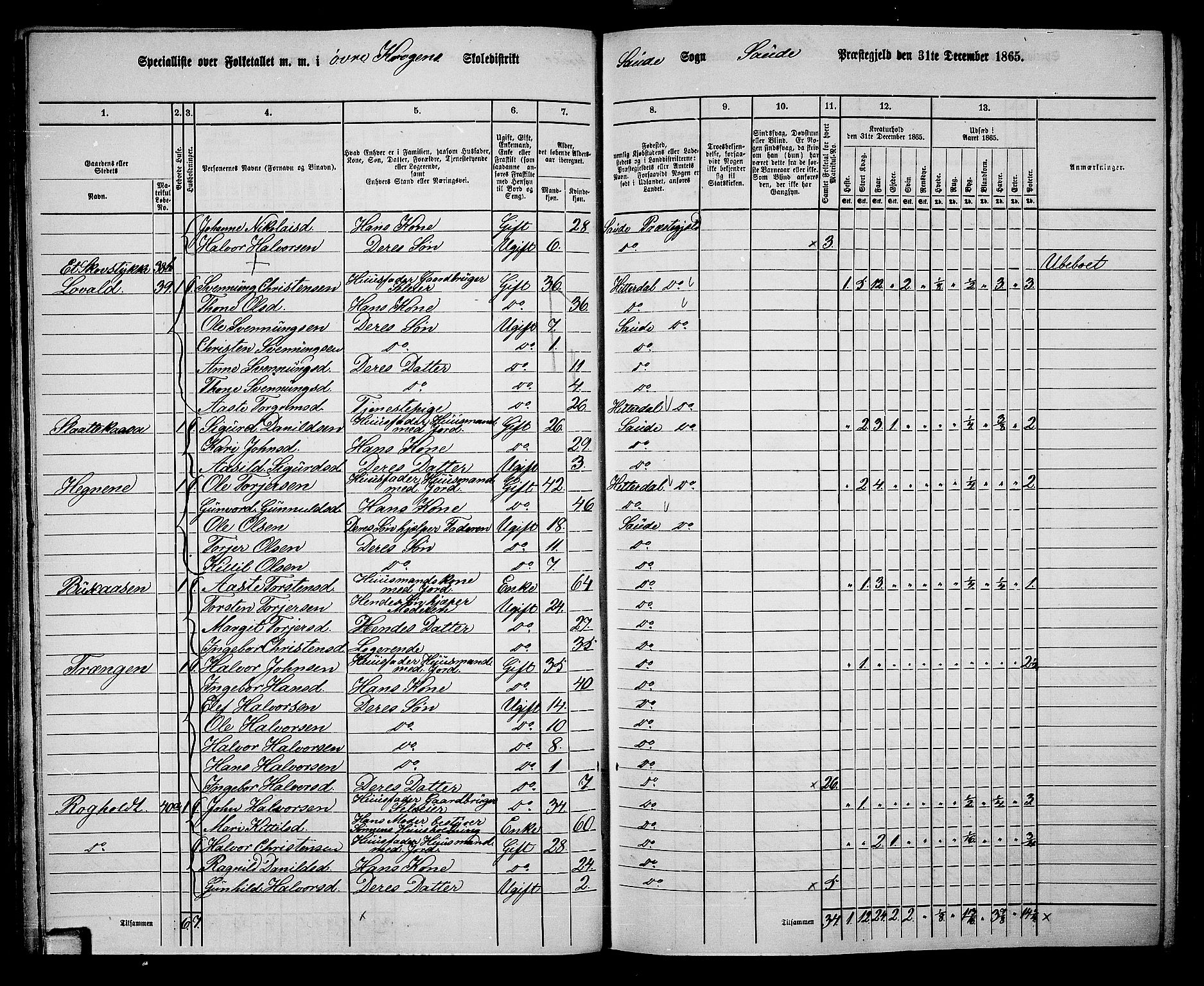 RA, 1865 census for Sauherad, 1865, p. 37