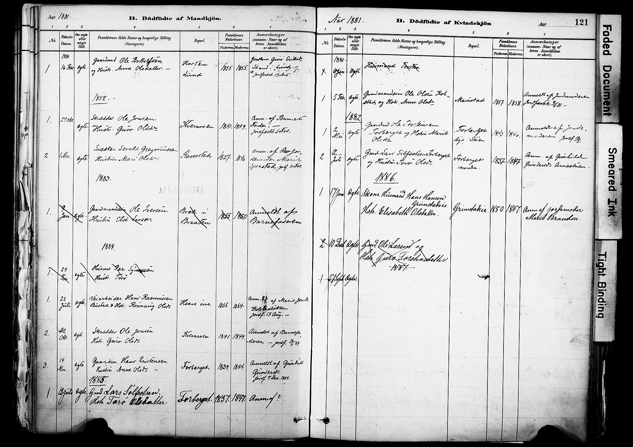 Skjåk prestekontor, SAH/PREST-072/H/Ha/Haa/L0003: Parish register (official) no. 3, 1880-1907, p. 121