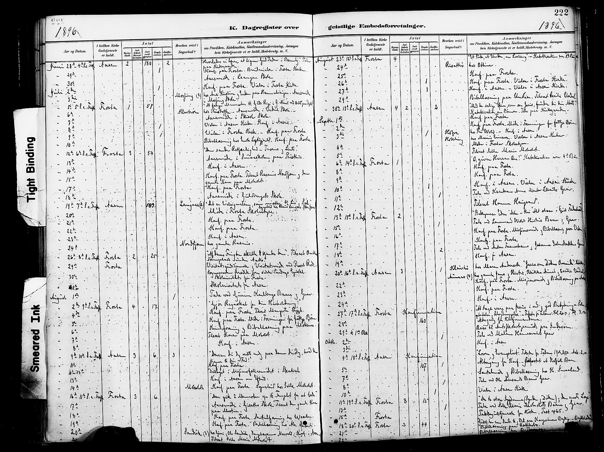 Ministerialprotokoller, klokkerbøker og fødselsregistre - Nord-Trøndelag, AV/SAT-A-1458/713/L0121: Parish register (official) no. 713A10, 1888-1898, p. 222