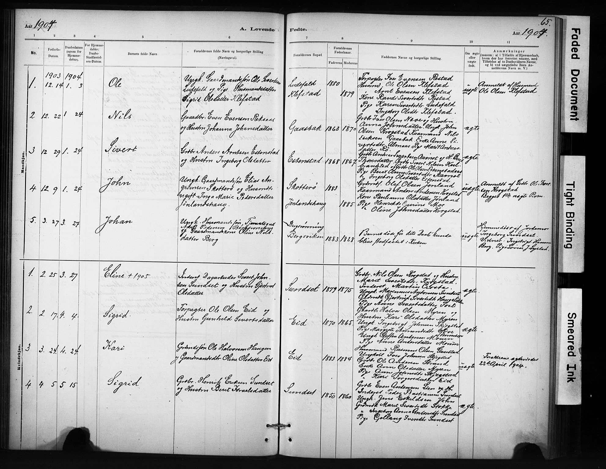 Ministerialprotokoller, klokkerbøker og fødselsregistre - Sør-Trøndelag, AV/SAT-A-1456/694/L1127: Parish register (official) no. 694A01, 1887-1905, p. 65