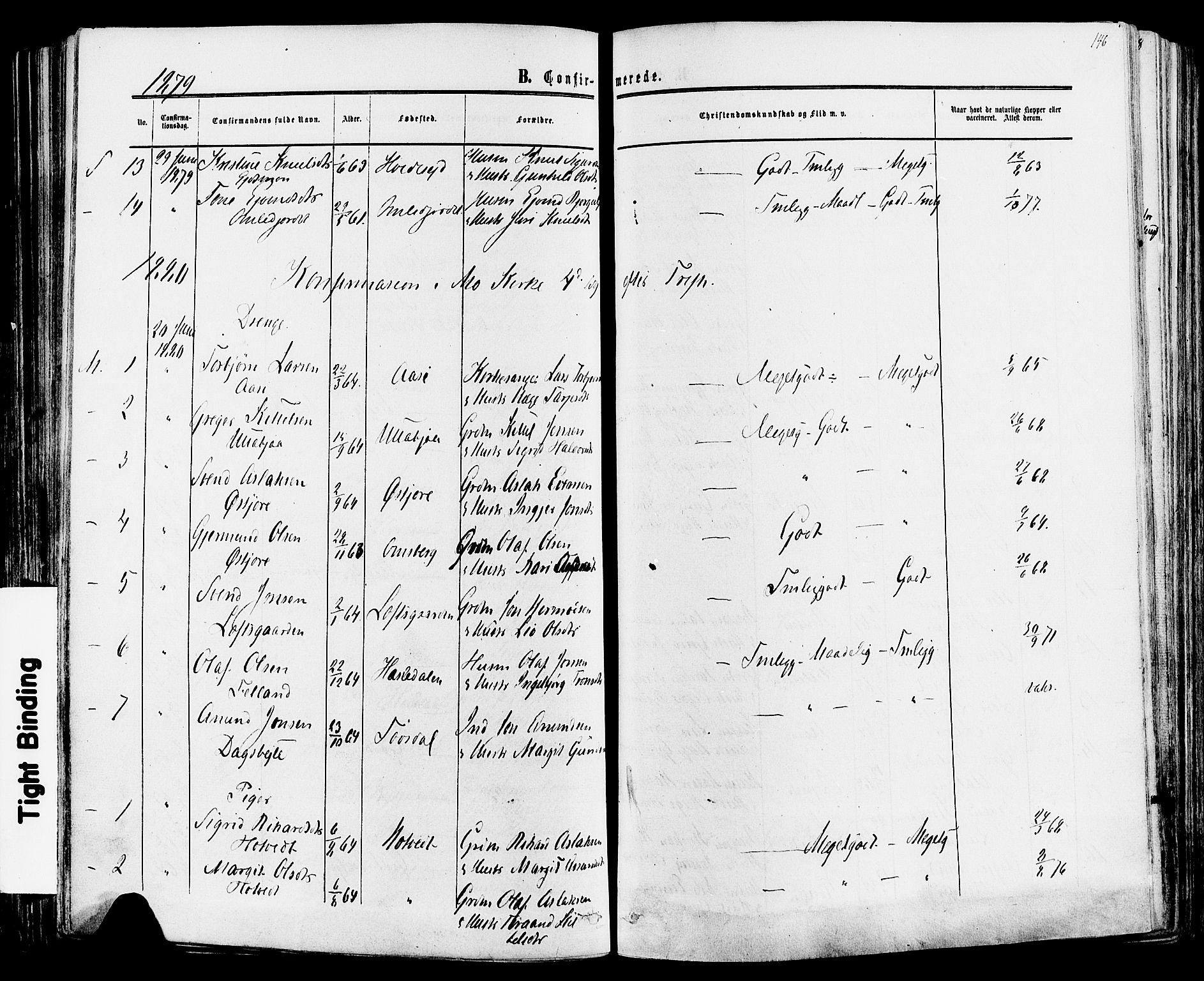 Mo kirkebøker, AV/SAKO-A-286/F/Fa/L0006: Parish register (official) no. I 6, 1865-1885, p. 146