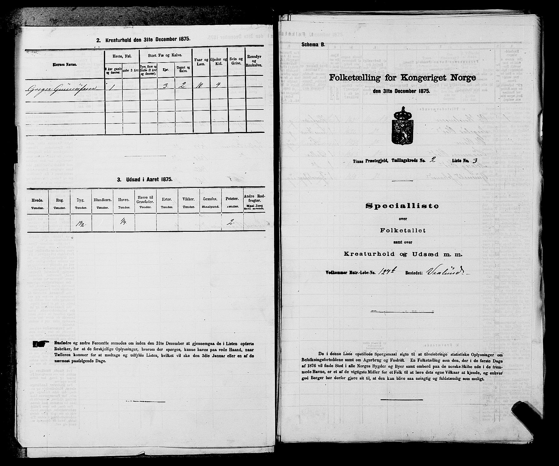 SAKO, 1875 census for 0826P Tinn, 1875, p. 171