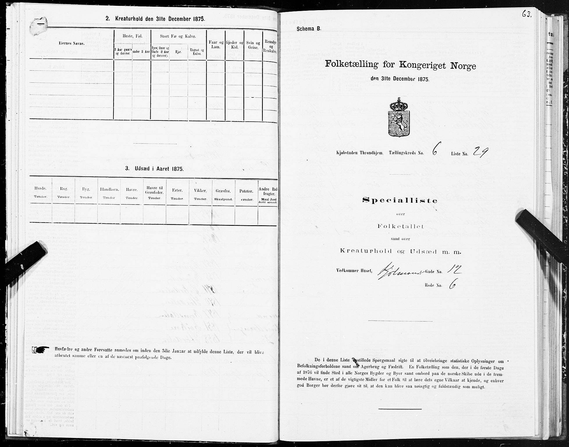 SAT, 1875 census for 1601 Trondheim, 1875, p. 4063