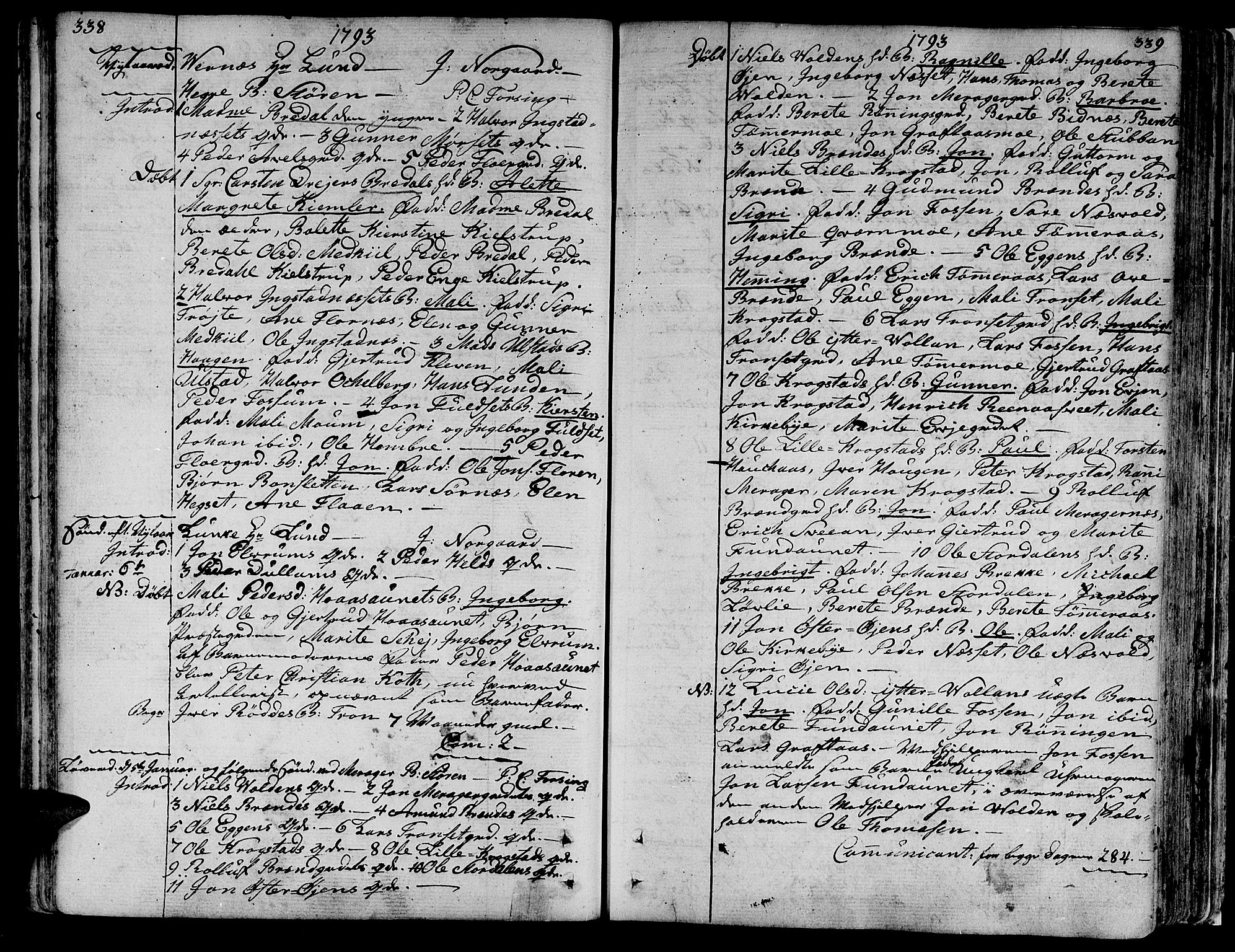 Ministerialprotokoller, klokkerbøker og fødselsregistre - Nord-Trøndelag, SAT/A-1458/709/L0059: Parish register (official) no. 709A06, 1781-1797, p. 338-339