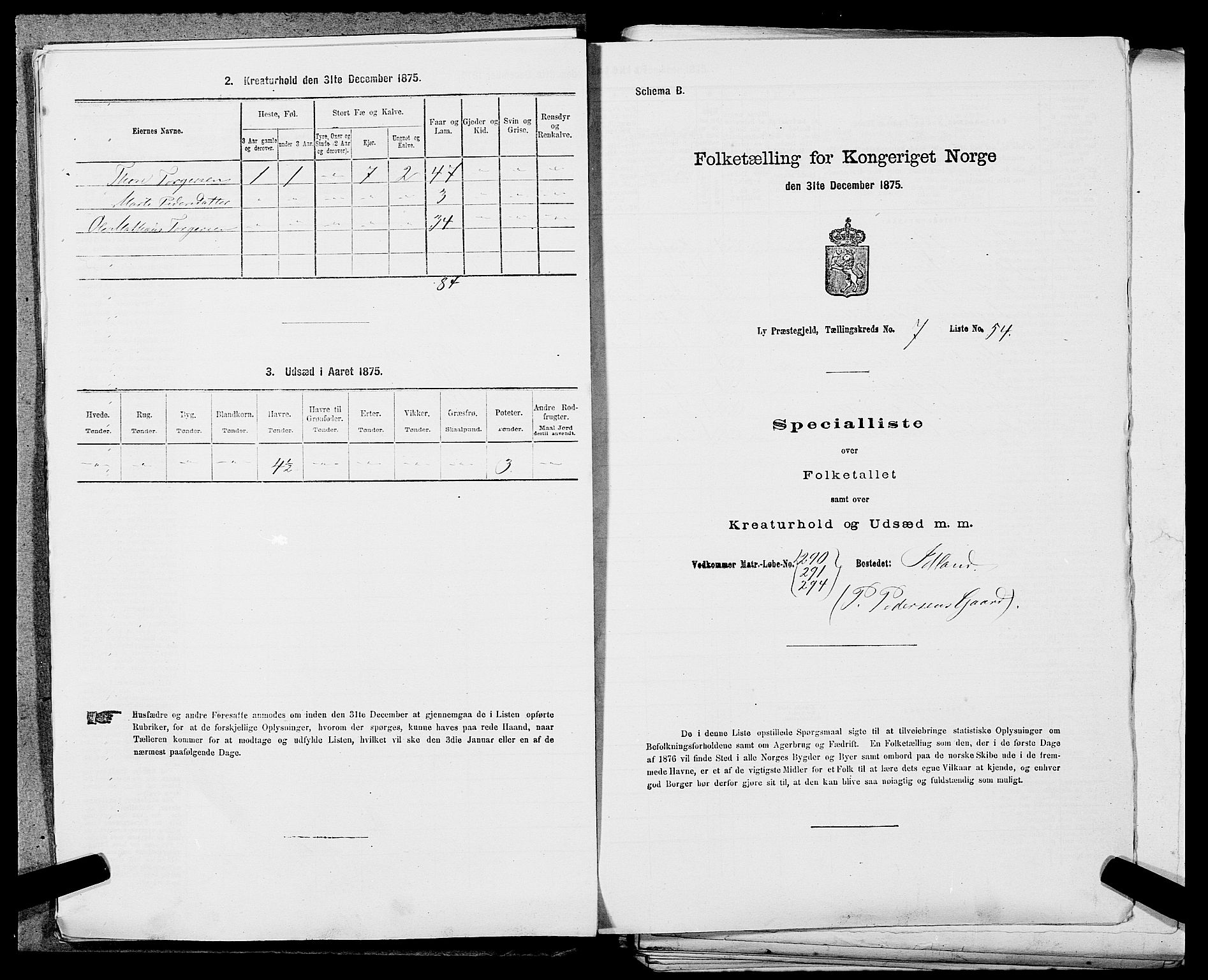 SAST, 1875 census for 1121P Lye, 1875, p. 919