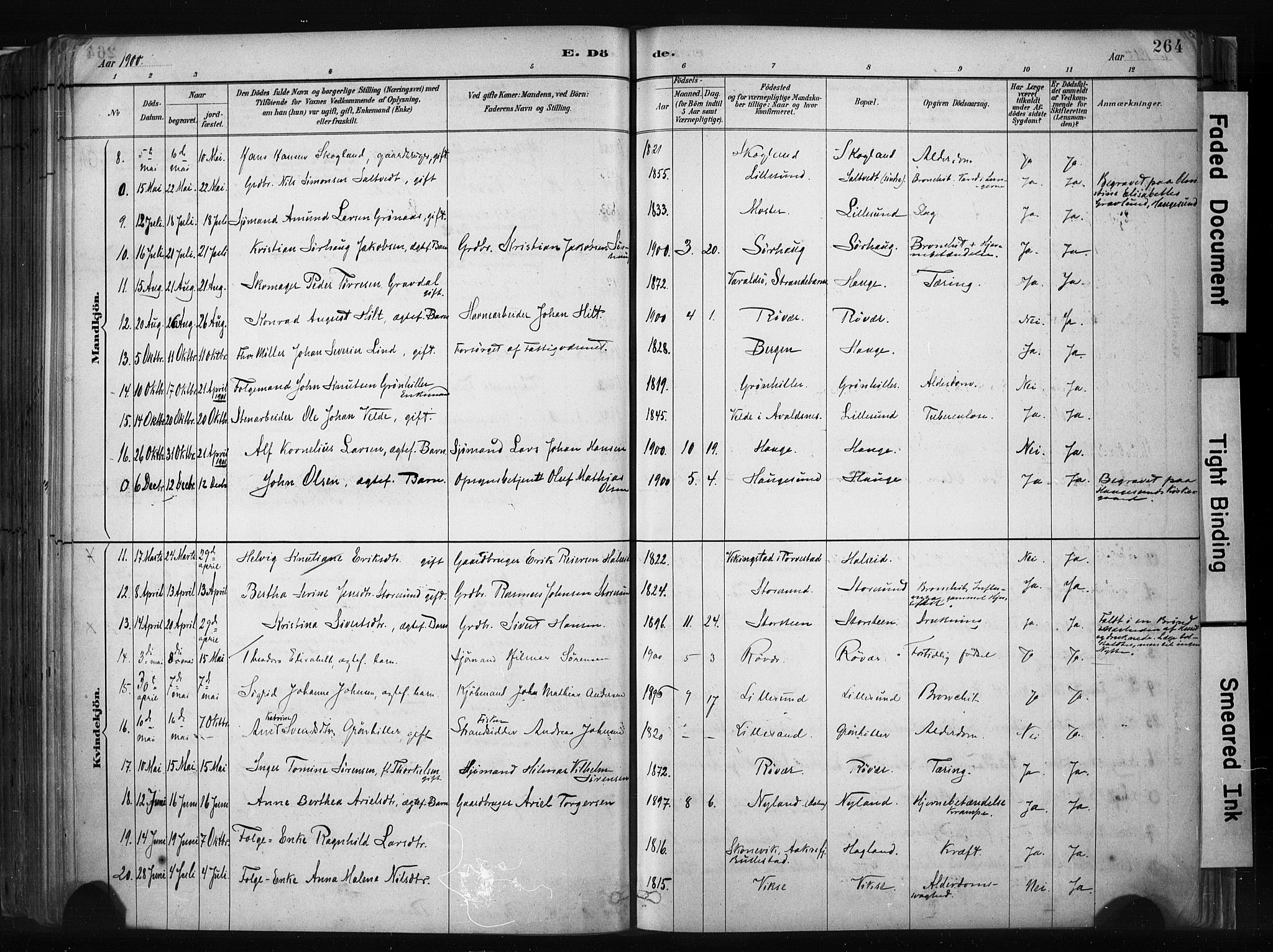 Haugesund sokneprestkontor, SAST/A -101863/H/Ha/Haa/L0004: Parish register (official) no. A 4, 1886-1908, p. 264