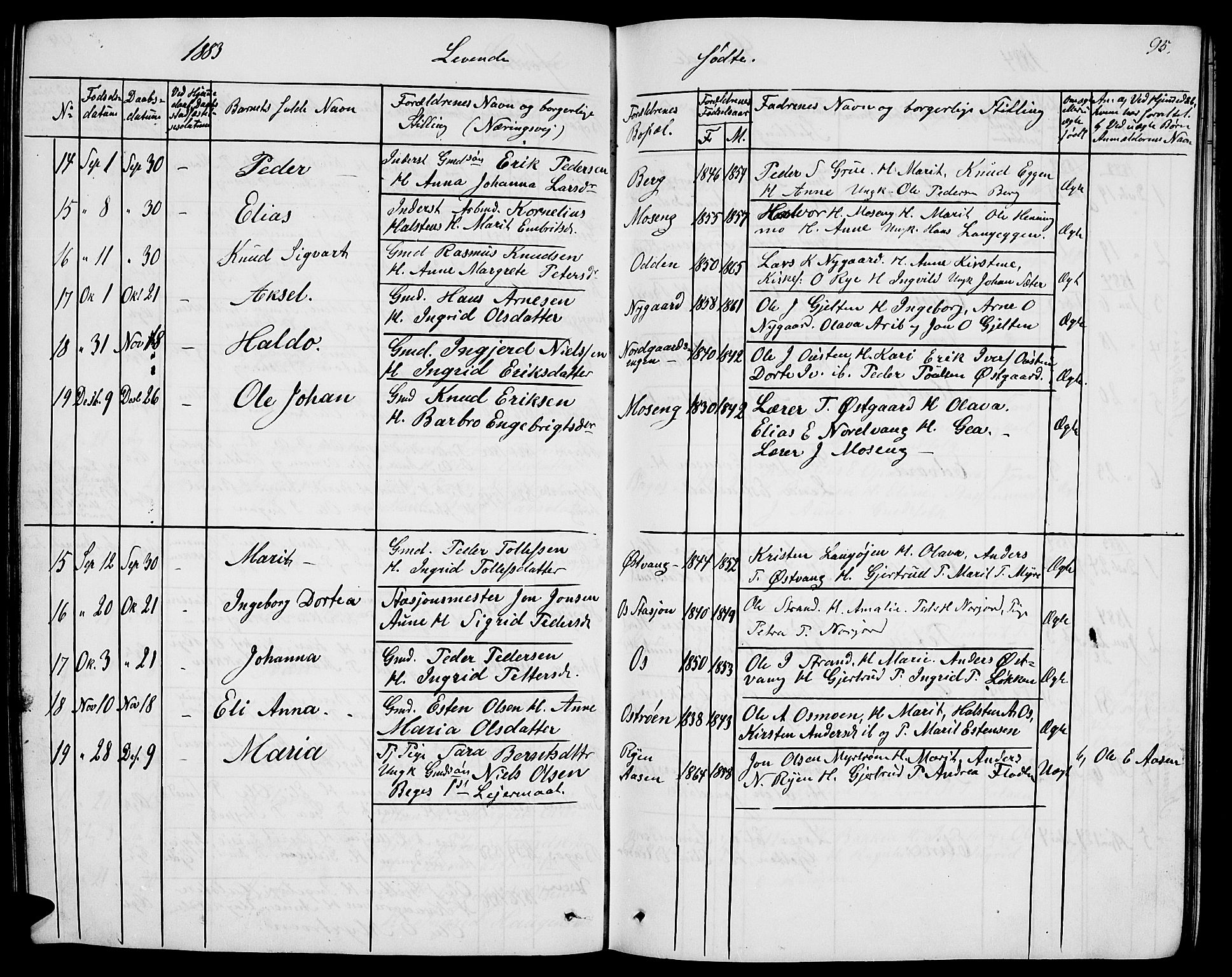 Tolga prestekontor, AV/SAH-PREST-062/L/L0004: Parish register (copy) no. 4, 1845-1887, p. 95