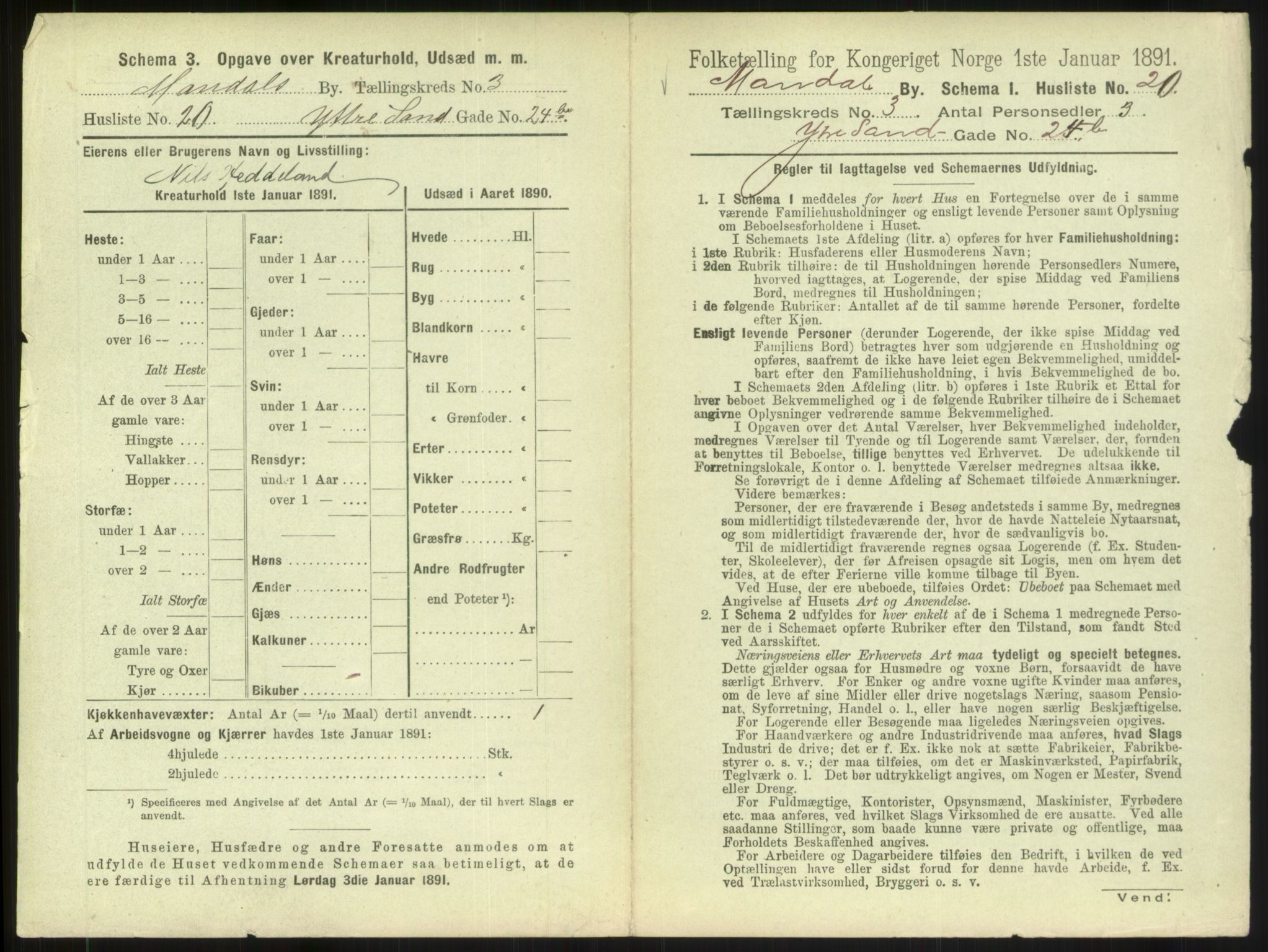 RA, 1891 census for 1002 Mandal, 1891, p. 199