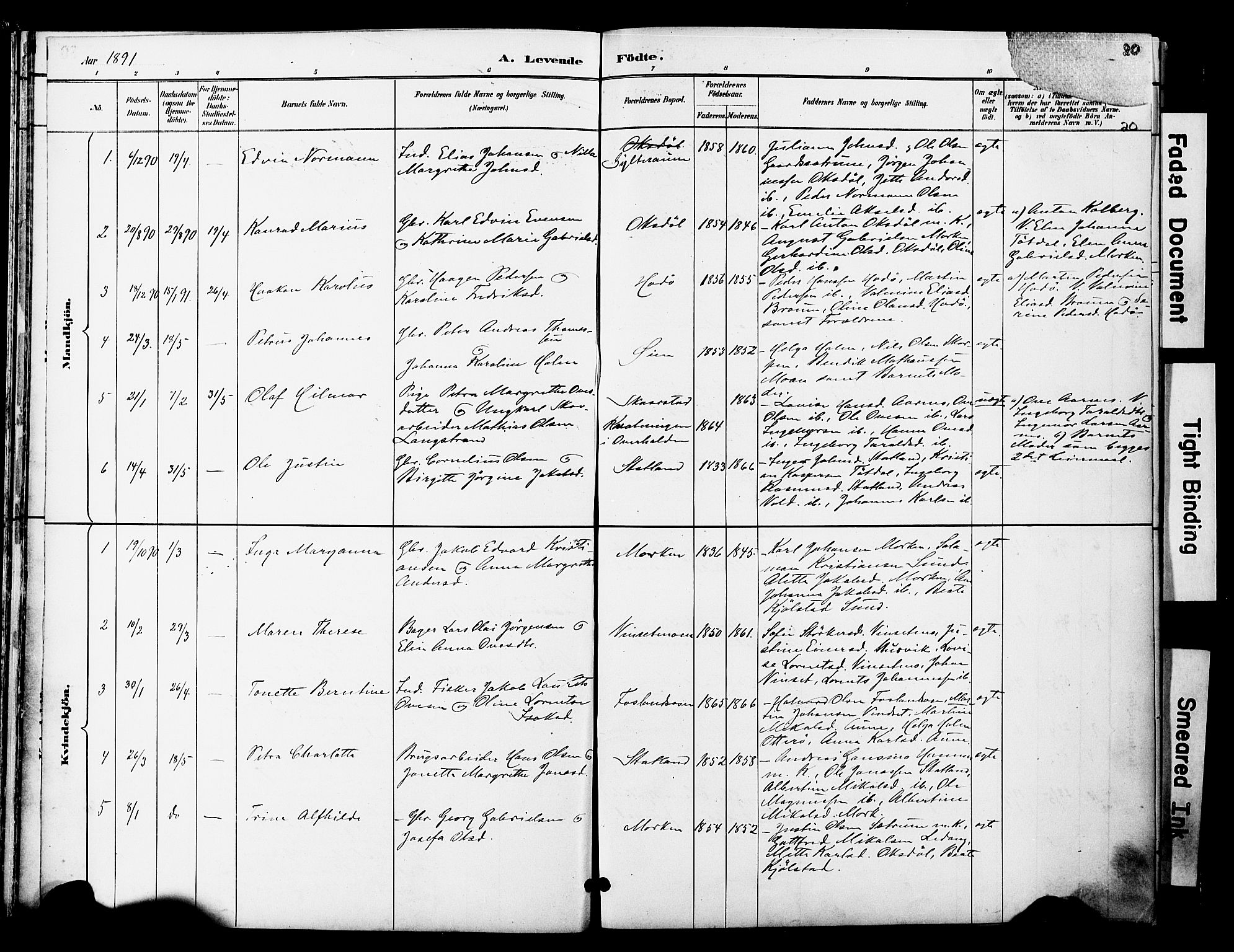 Ministerialprotokoller, klokkerbøker og fødselsregistre - Nord-Trøndelag, SAT/A-1458/774/L0628: Parish register (official) no. 774A02, 1887-1903, p. 20