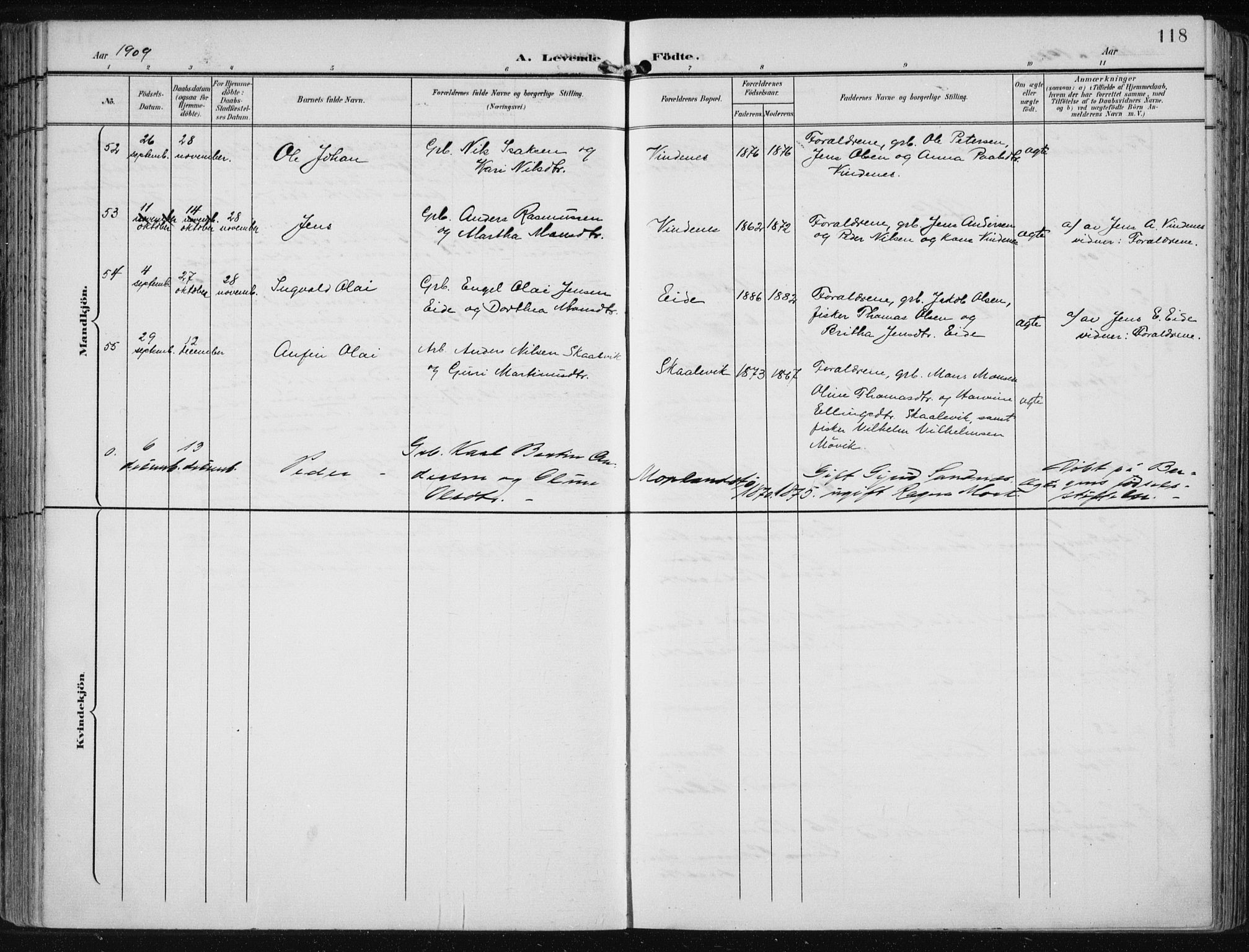 Fjell sokneprestembete, AV/SAB-A-75301/H/Haa: Parish register (official) no. A  9, 1899-1910, p. 118