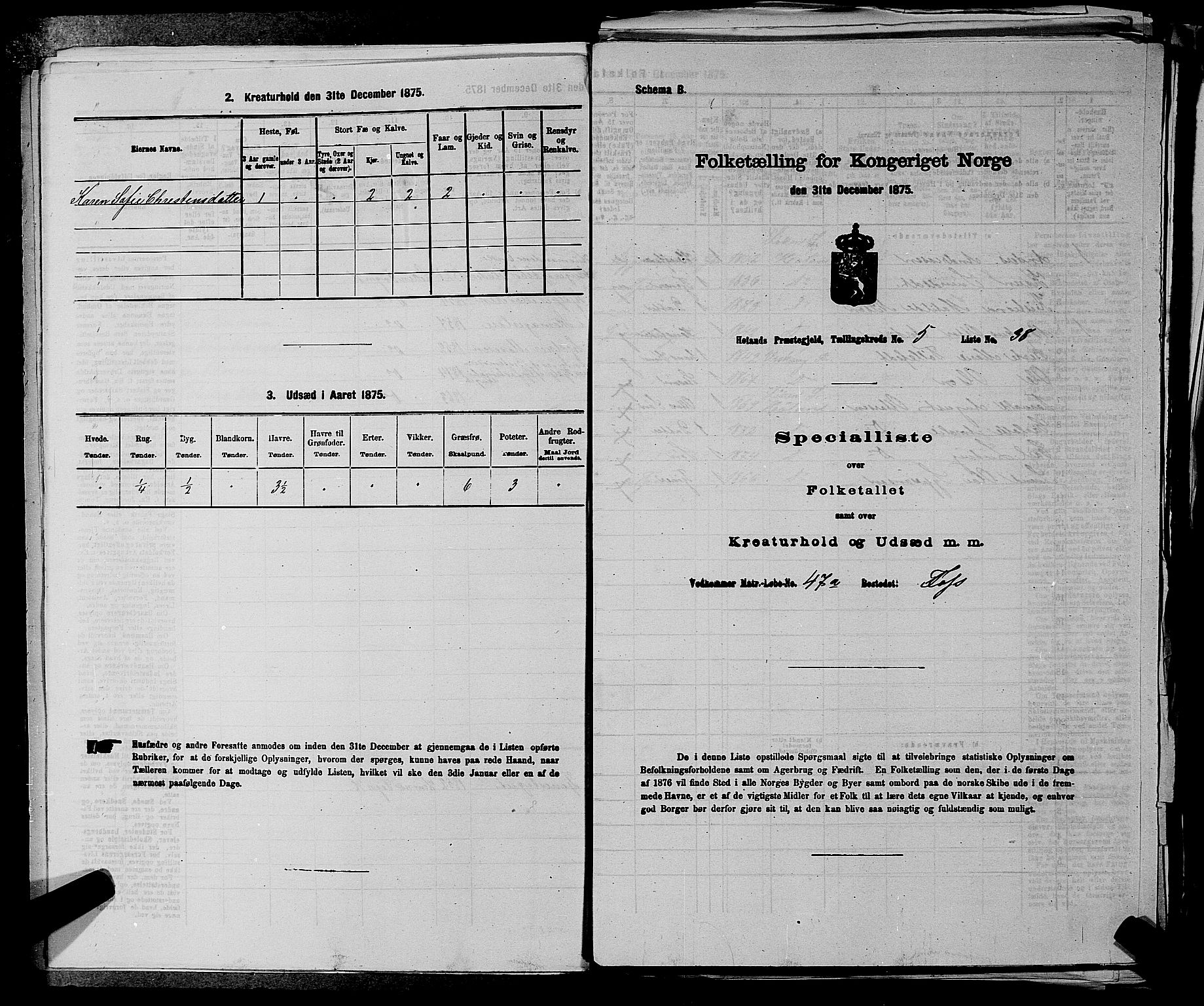 RA, 1875 census for 0221P Høland, 1875, p. 796