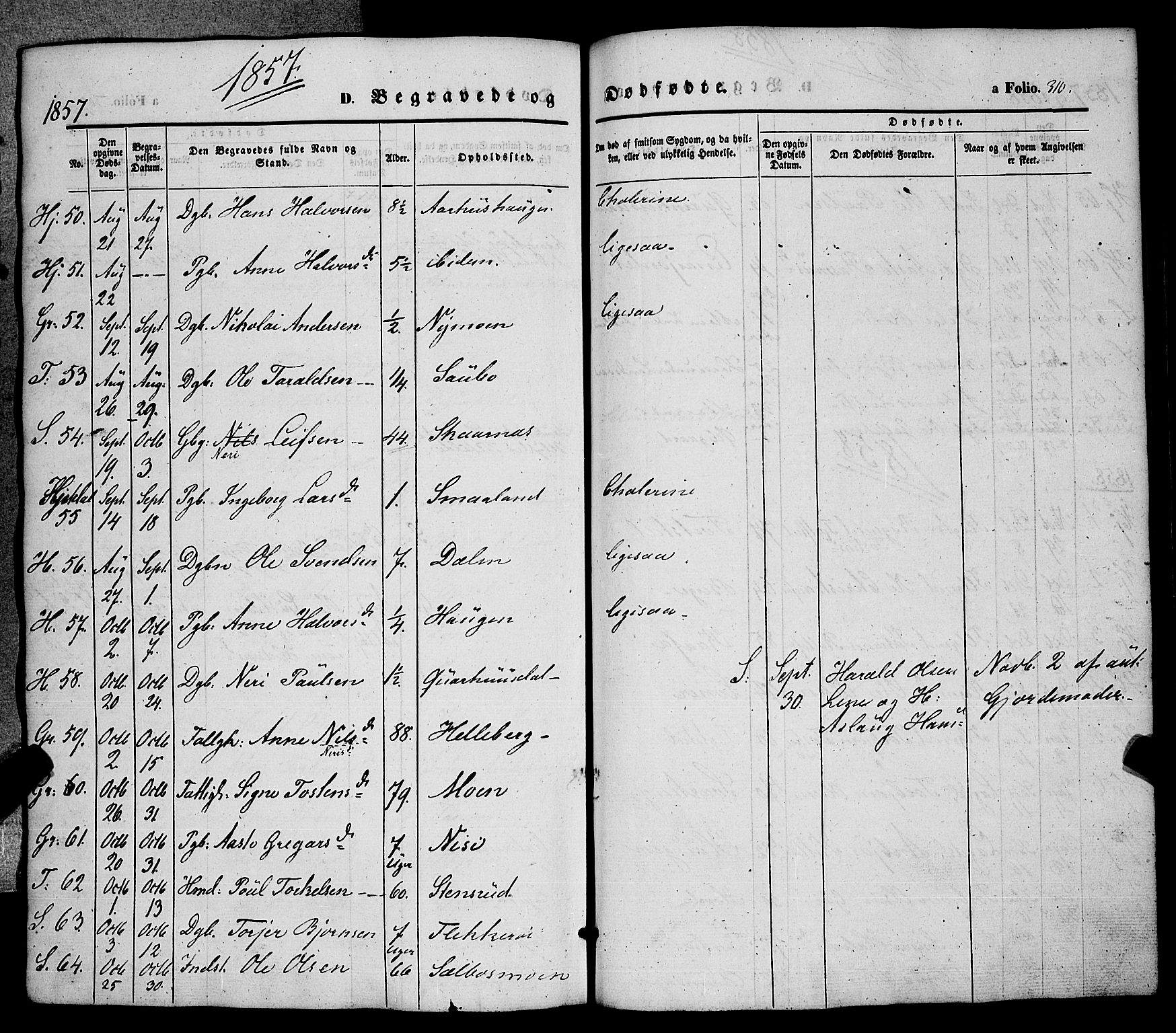 Hjartdal kirkebøker, AV/SAKO-A-270/F/Fa/L0008: Parish register (official) no. I 8, 1844-1859, p. 310