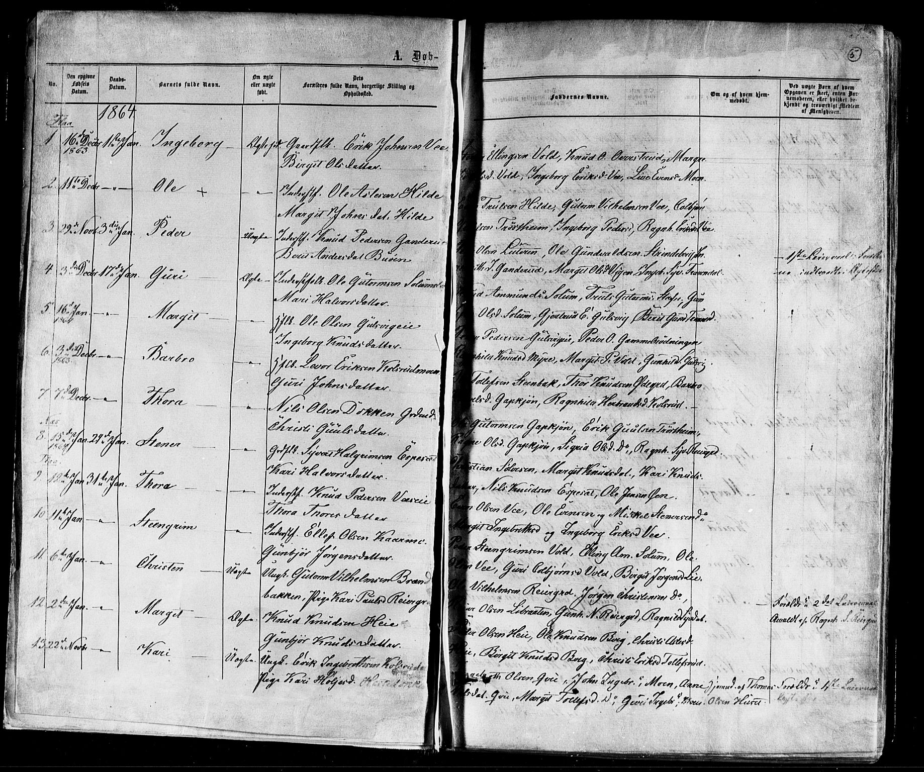 Nes kirkebøker, SAKO/A-236/F/Fa/L0010: Parish register (official) no. 10, 1864-1880, p. 5