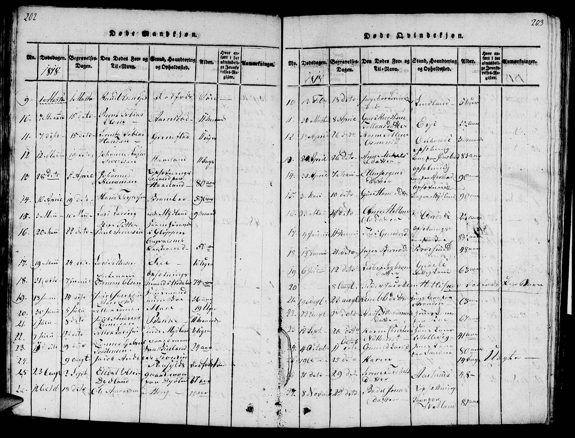 Sokndal sokneprestkontor, SAST/A-101808: Parish register (official) no. A 6, 1815-1826, p. 202-203