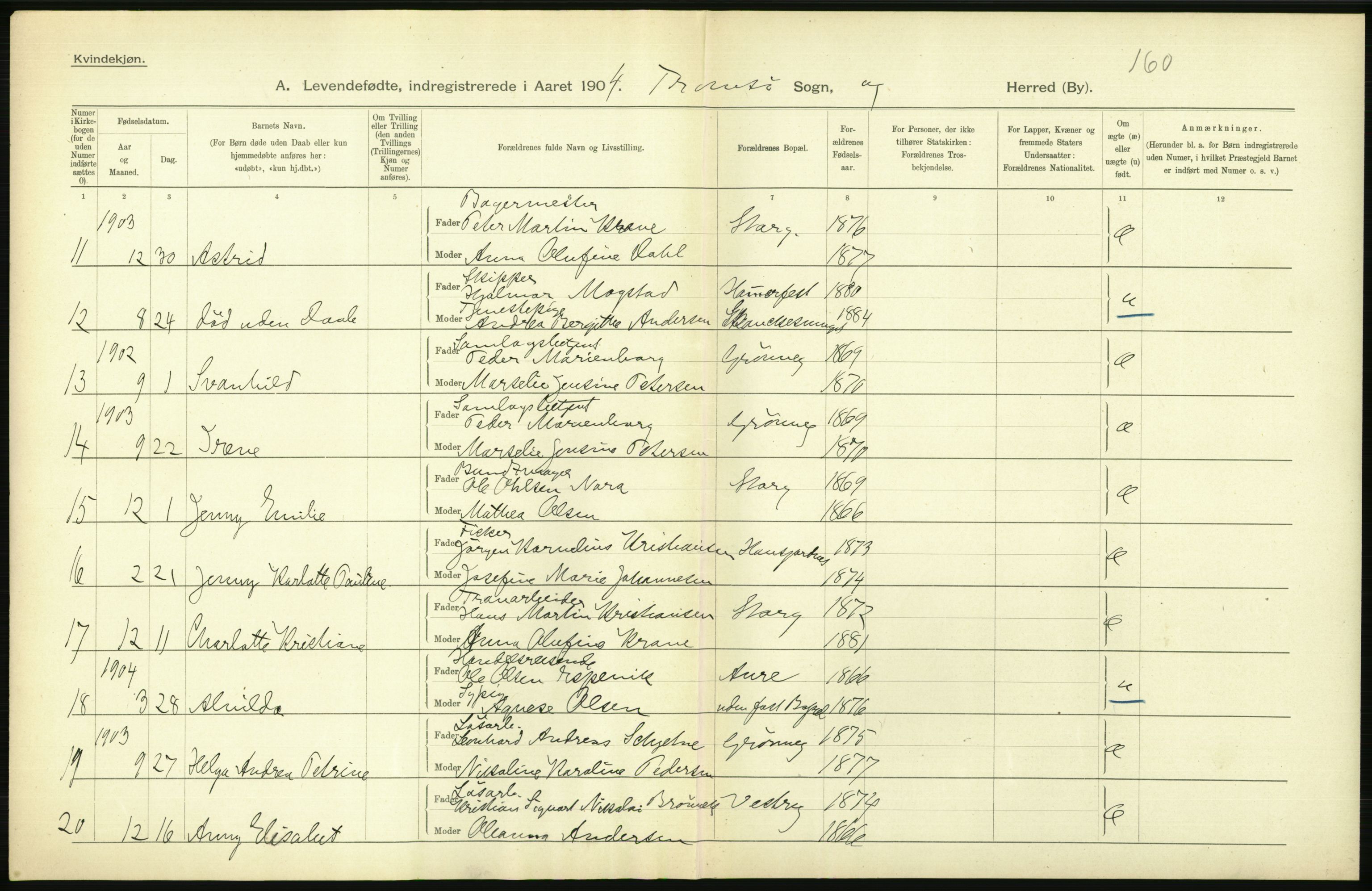 Statistisk sentralbyrå, Sosiodemografiske emner, Befolkning, AV/RA-S-2228/D/Df/Dfa/Dfab/L0022: Tromsø amt: Fødte, gifte, døde, 1904, p. 264