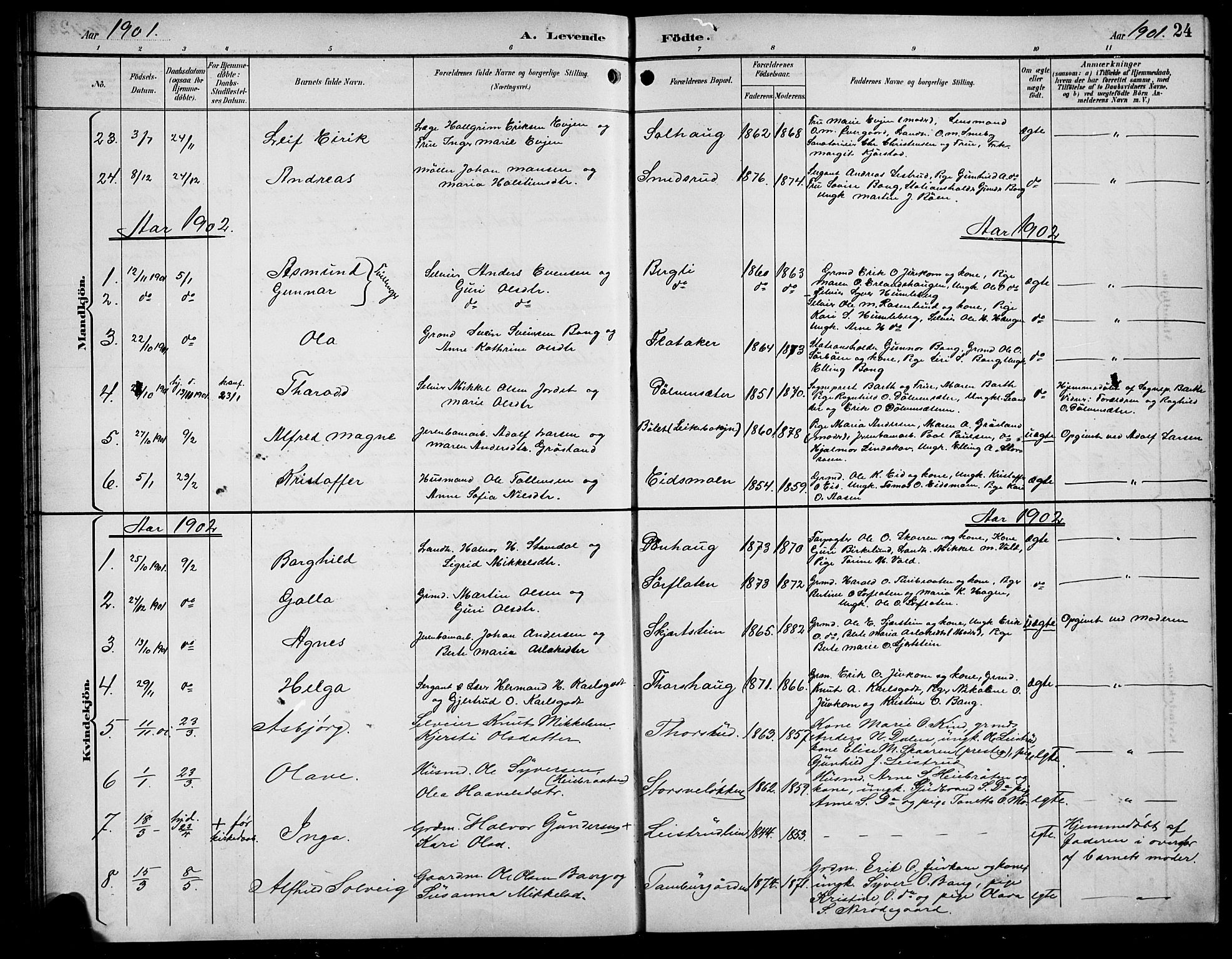 Sør-Aurdal prestekontor, AV/SAH-PREST-128/H/Ha/Hab/L0009: Parish register (copy) no. 9, 1894-1924, p. 24