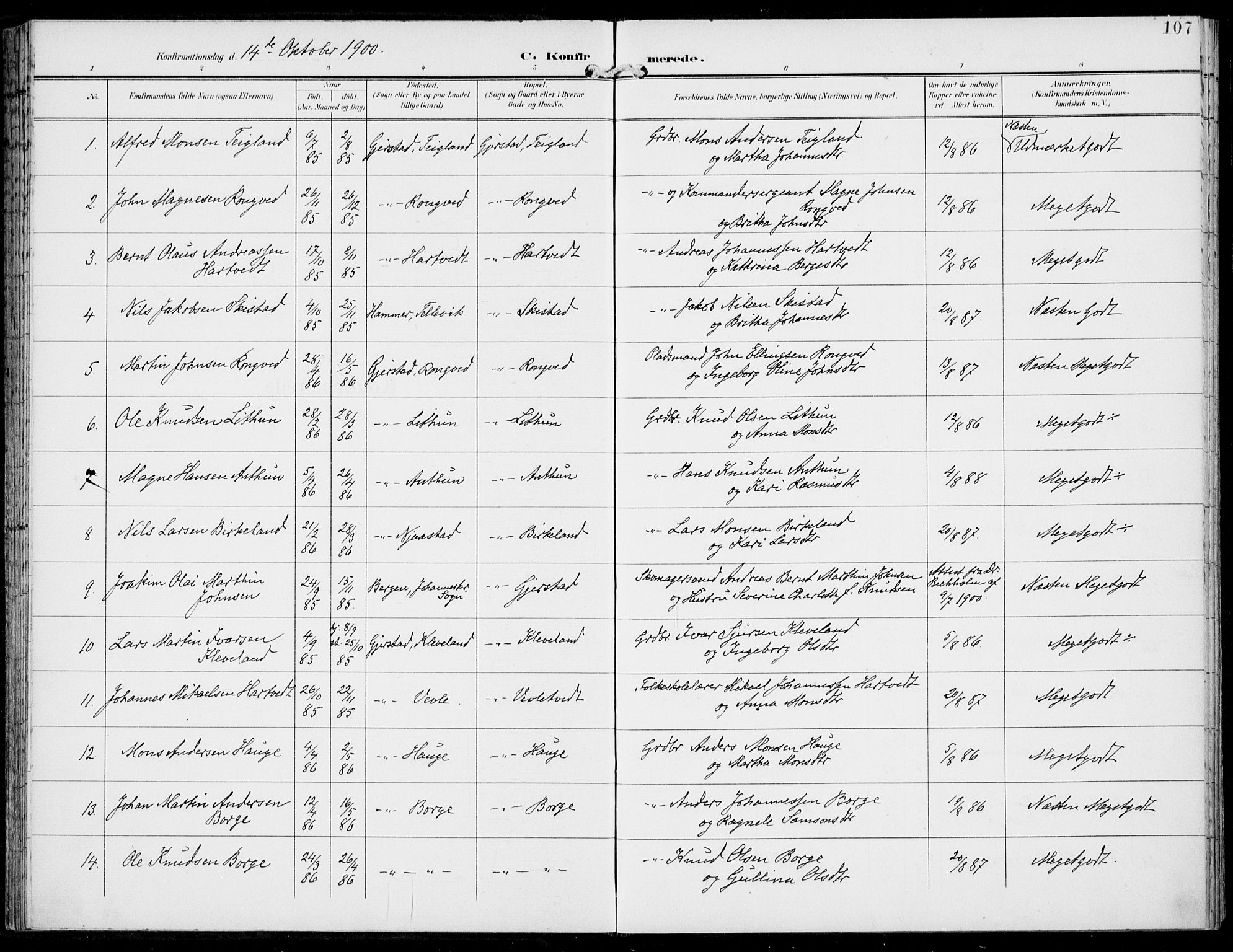 Haus sokneprestembete, AV/SAB-A-75601/H/Haa: Parish register (official) no. C  2, 1900-1915, p. 107