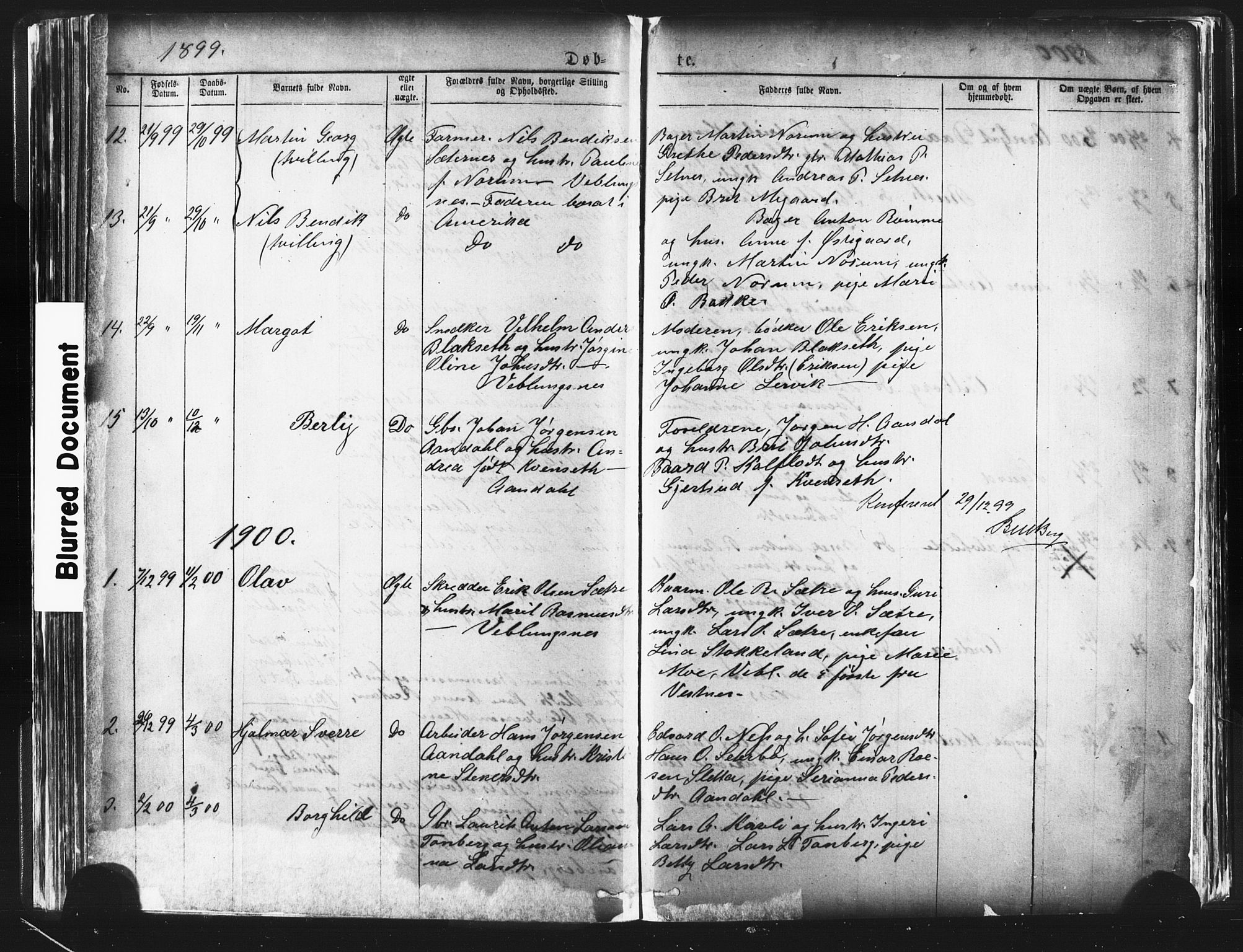 Ministerialprotokoller, klokkerbøker og fødselsregistre - Møre og Romsdal, AV/SAT-A-1454/544/L0580: Parish register (copy) no. 544C02, 1867-1909, p. 116