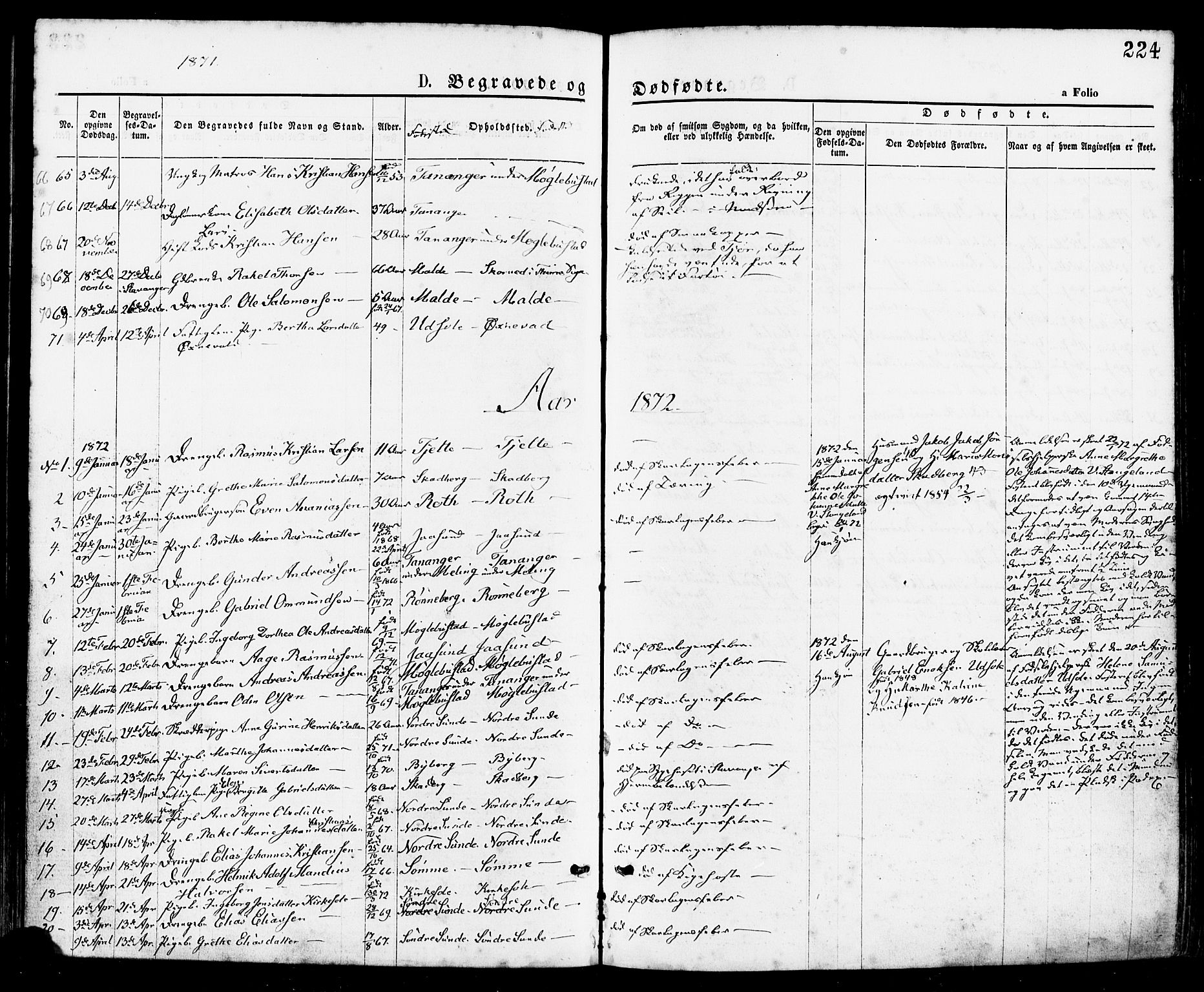 Håland sokneprestkontor, AV/SAST-A-101802/001/30BA/L0009: Parish register (official) no. A 8, 1871-1882, p. 224