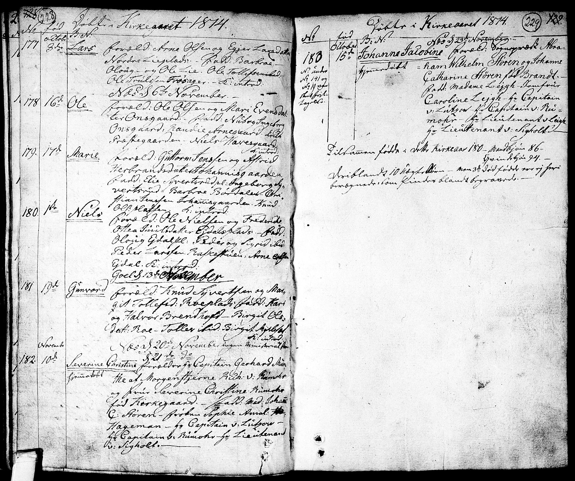 Nes kirkebøker, AV/SAKO-A-236/F/Fa/L0006: Parish register (official) no. 6, 1808-1814, p. 228-229