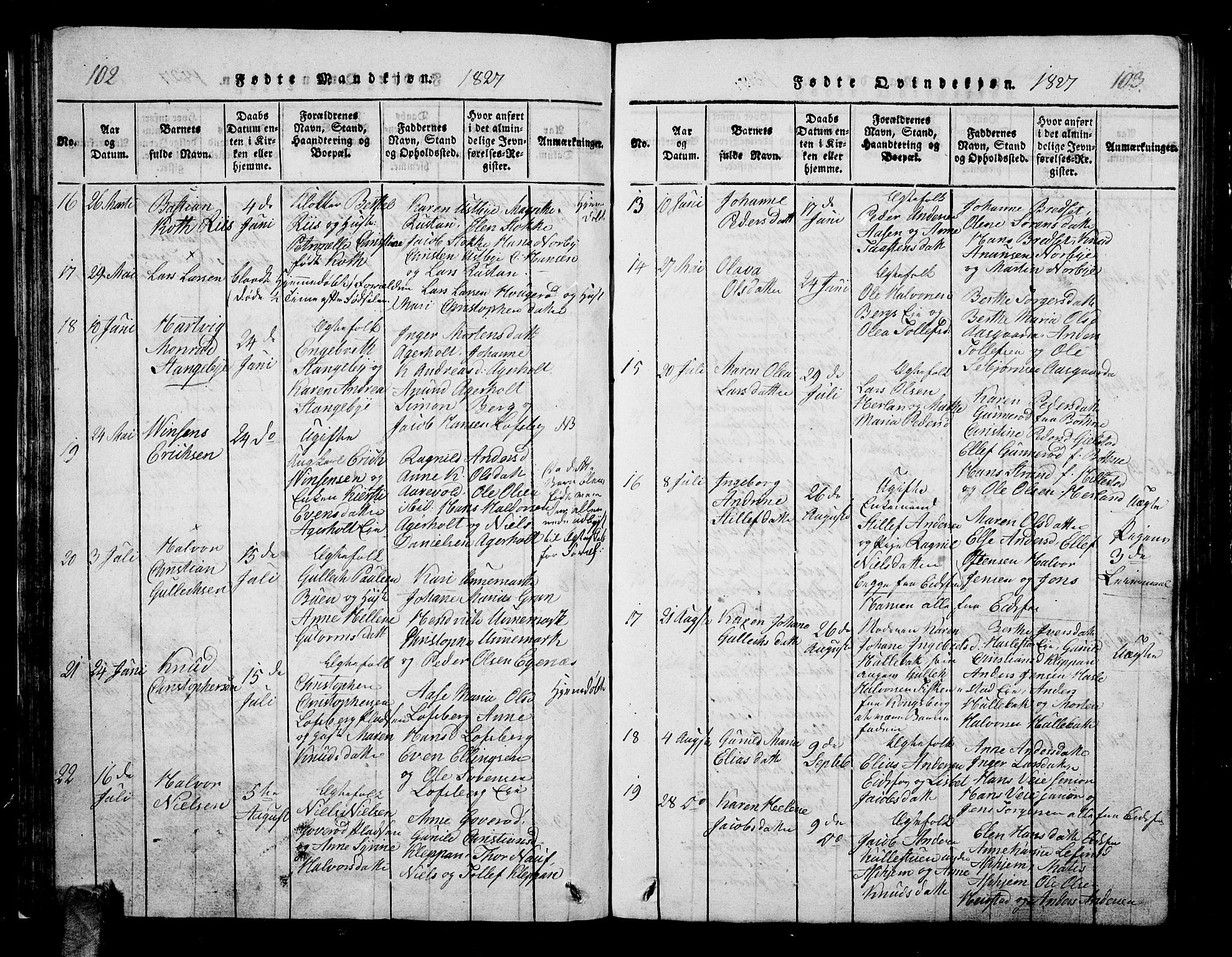 Hof kirkebøker, AV/SAKO-A-64/G/Ga/L0001: Parish register (copy) no. I 1, 1814-1844, p. 102-103