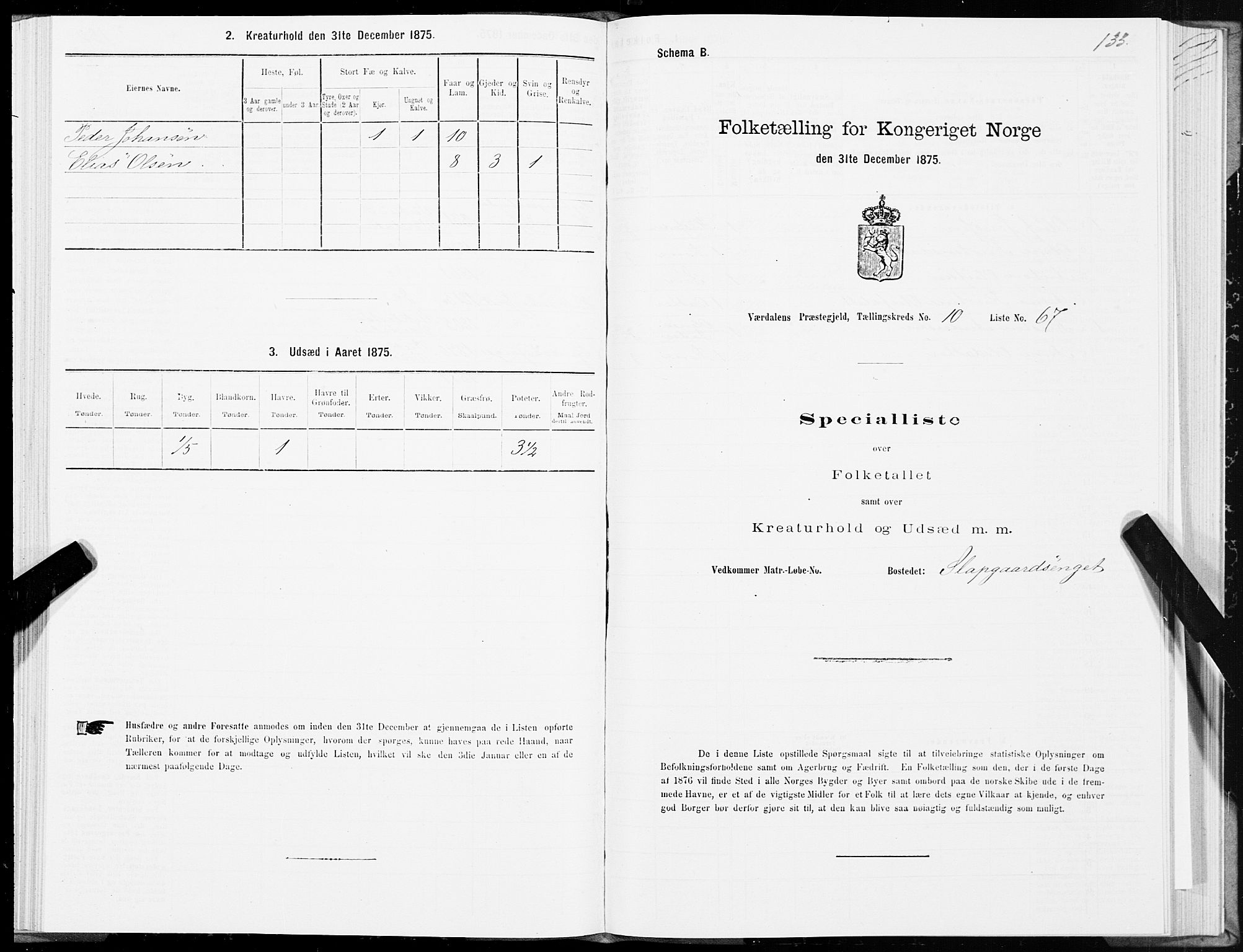 SAT, 1875 census for 1721P Verdal, 1875, p. 6133