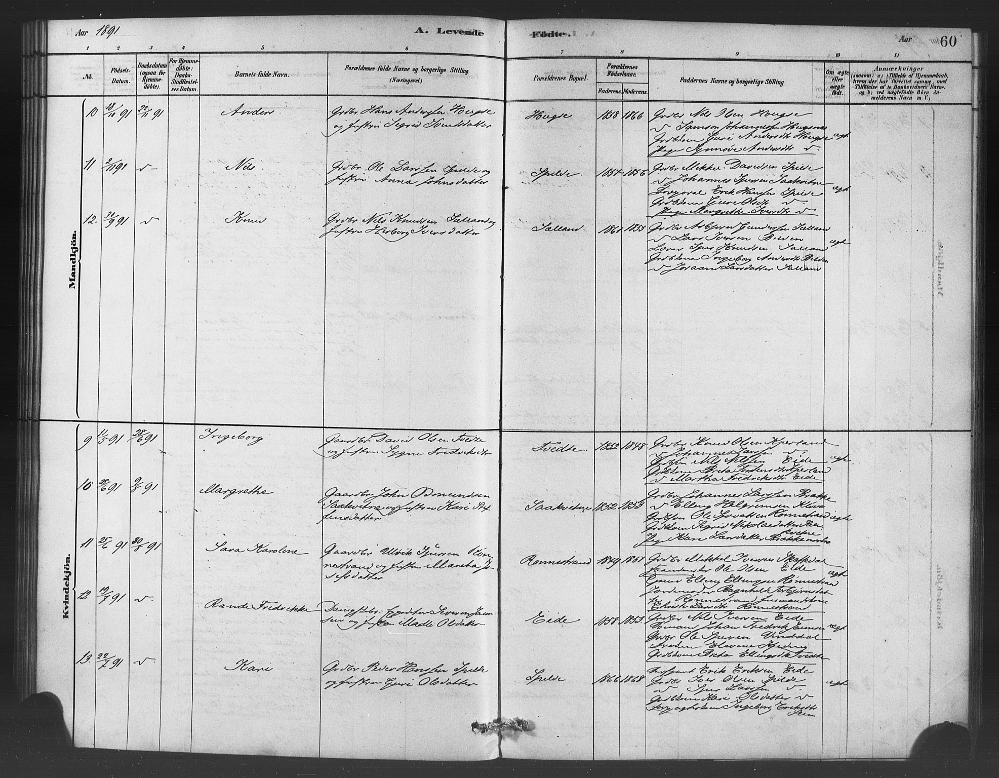 Ulvik sokneprestembete, AV/SAB-A-78801/H/Haa: Parish register (official) no. C 1, 1878-1903, p. 60