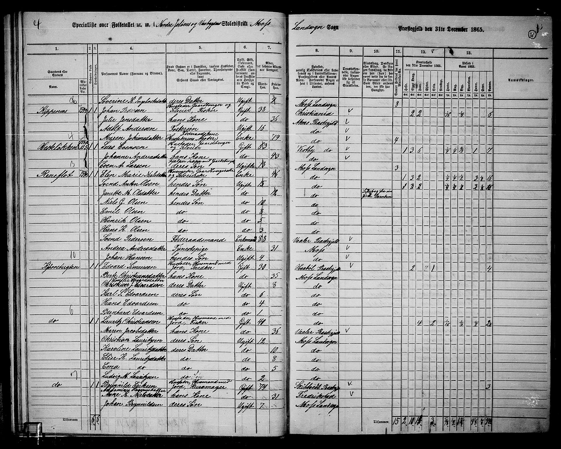 RA, 1865 census for Moss/Moss, 1865, p. 29