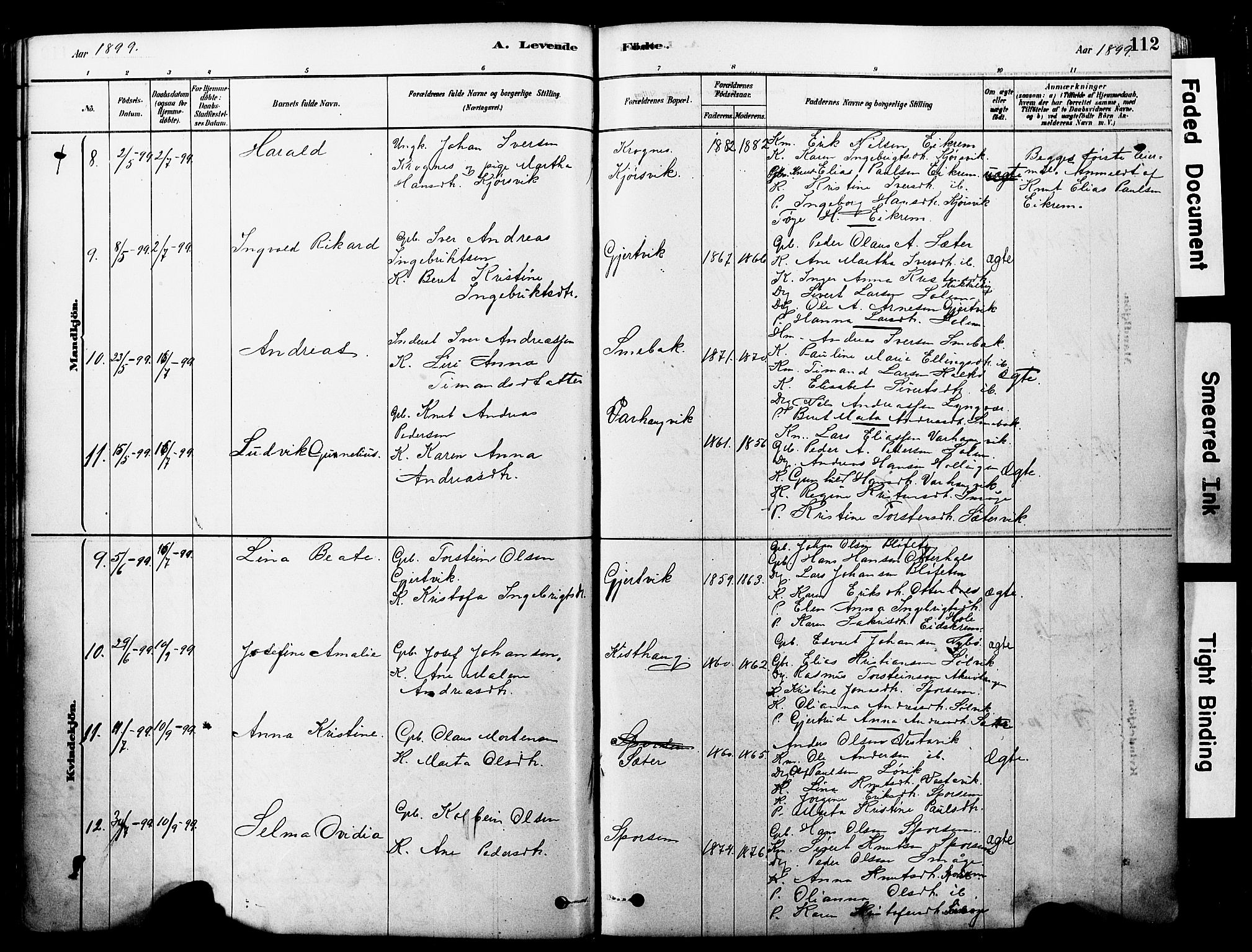 Ministerialprotokoller, klokkerbøker og fødselsregistre - Møre og Romsdal, AV/SAT-A-1454/560/L0721: Parish register (official) no. 560A05, 1878-1917, p. 112