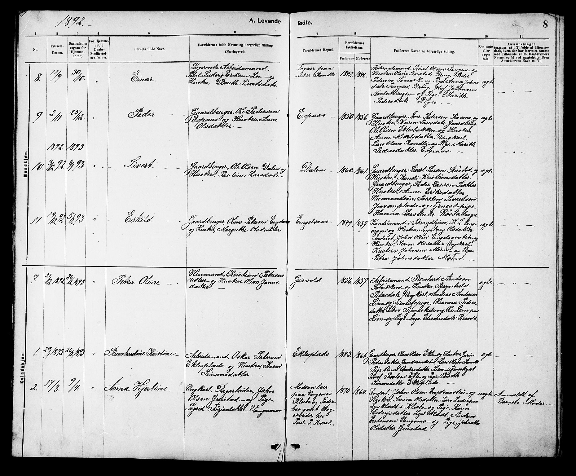 Ministerialprotokoller, klokkerbøker og fødselsregistre - Sør-Trøndelag, SAT/A-1456/608/L0341: Parish register (copy) no. 608C07, 1890-1912, p. 8