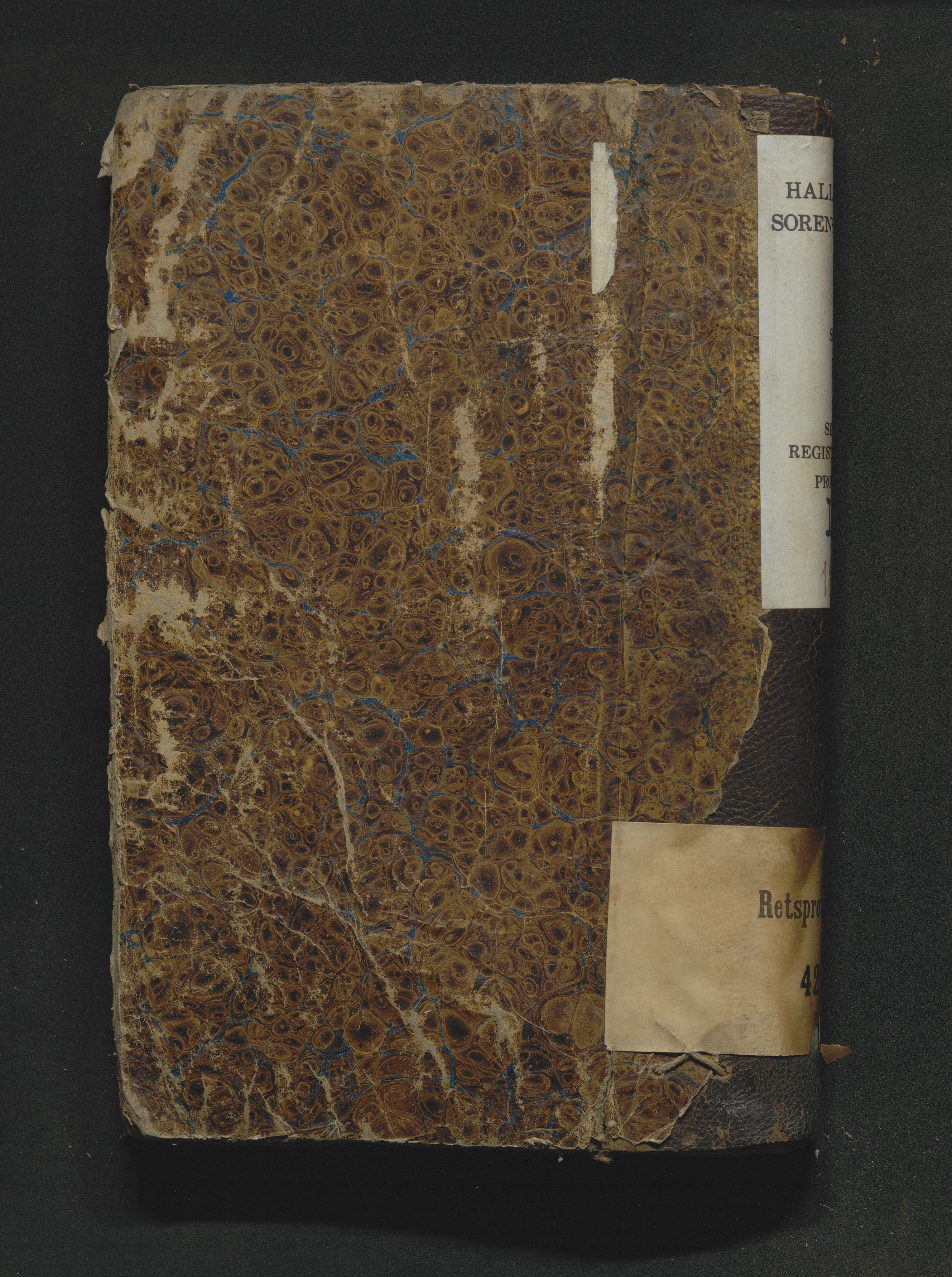 Hallingdal sorenskriveri, SAKO/A-121/H/Hb/Hbb/Hbba/L0007: Skifteregistreringsprotokoll, Sorenskriveriet, 1834