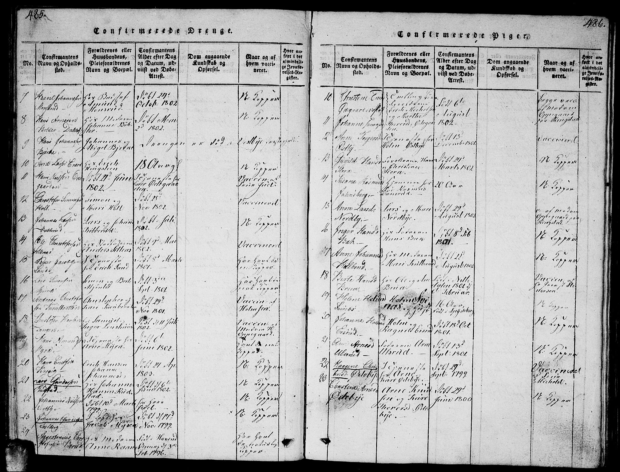 Enebakk prestekontor Kirkebøker, AV/SAO-A-10171c/G/Ga/L0001: Parish register (copy) no. I 1, 1815-1833, p. 485-486