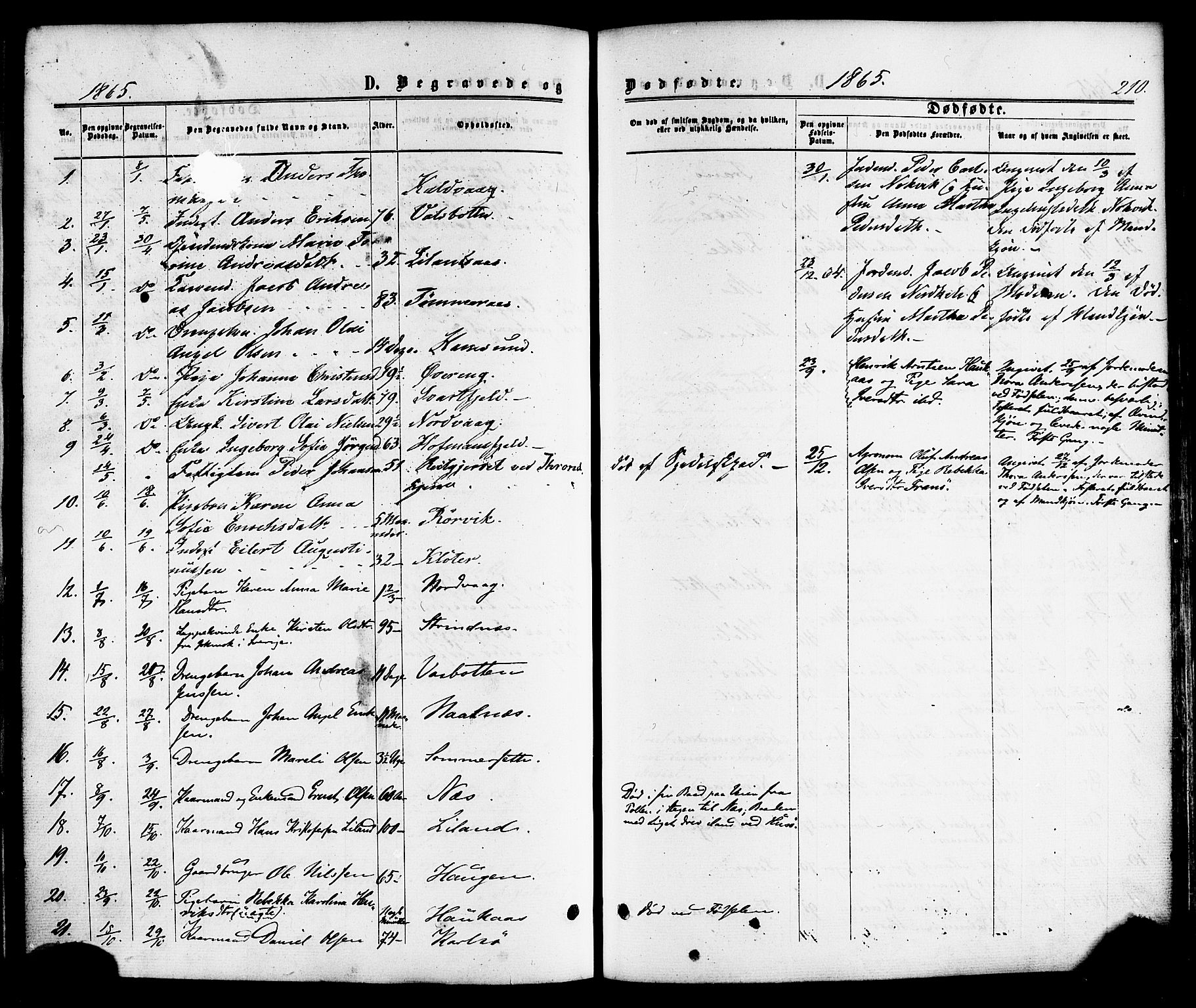 Ministerialprotokoller, klokkerbøker og fødselsregistre - Nordland, SAT/A-1459/859/L0845: Parish register (official) no. 859A05, 1863-1877, p. 210