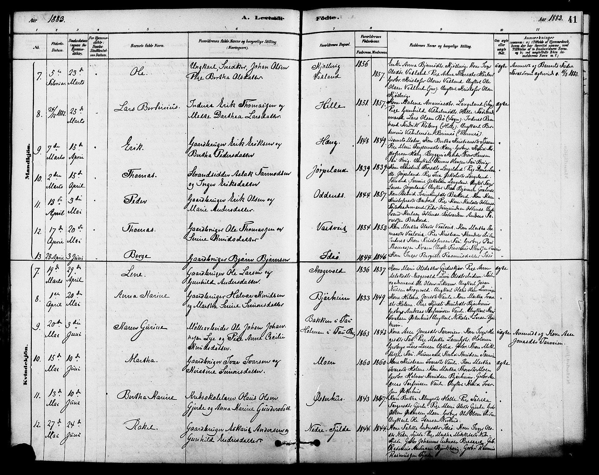 Strand sokneprestkontor, SAST/A-101828/H/Ha/Haa/L0009: Parish register (official) no. A 9, 1877-1908, p. 41
