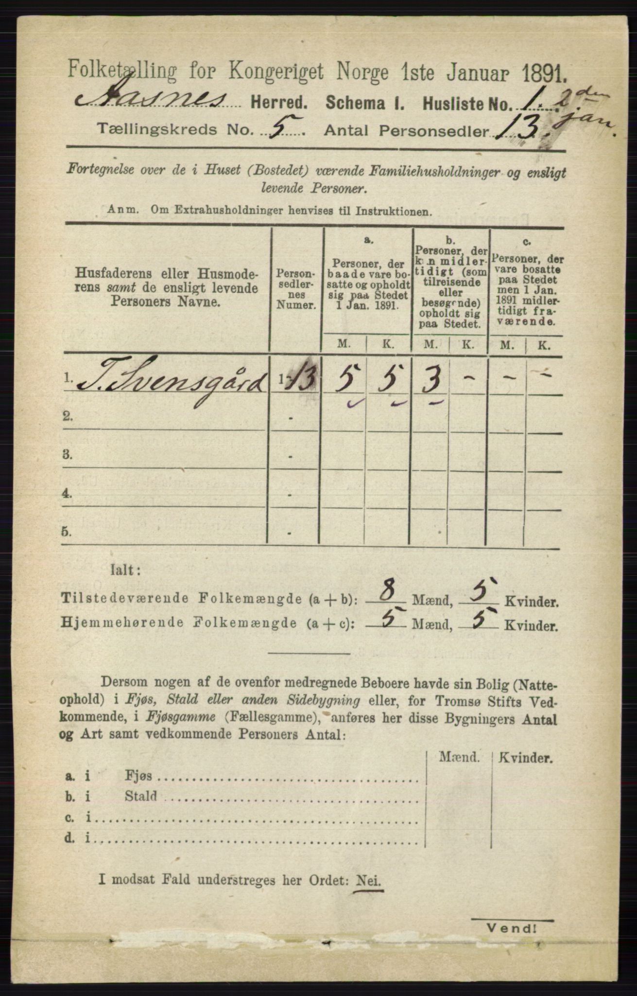 RA, 1891 census for 0425 Åsnes, 1891, p. 2375