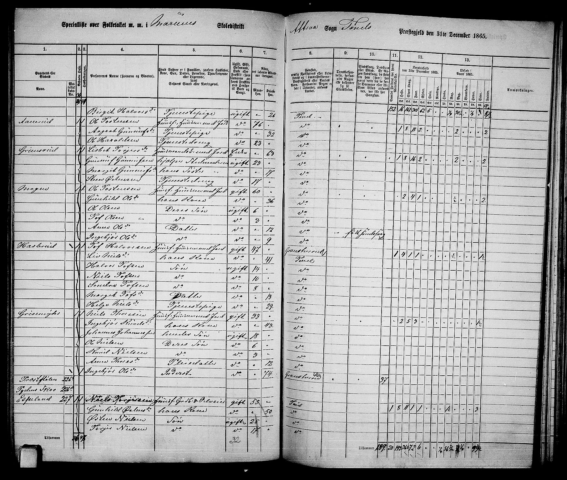 RA, 1865 census for Tinn, 1865, p. 67