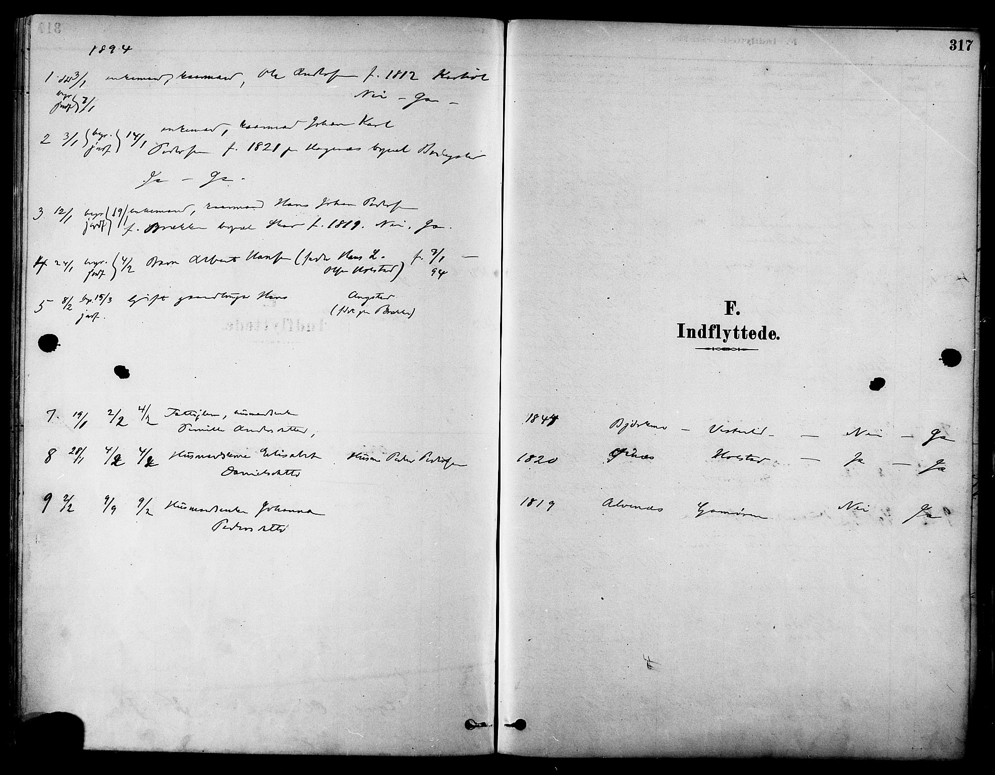 Ministerialprotokoller, klokkerbøker og fødselsregistre - Nordland, SAT/A-1459/852/L0740: Parish register (official) no. 852A10, 1878-1894, p. 317