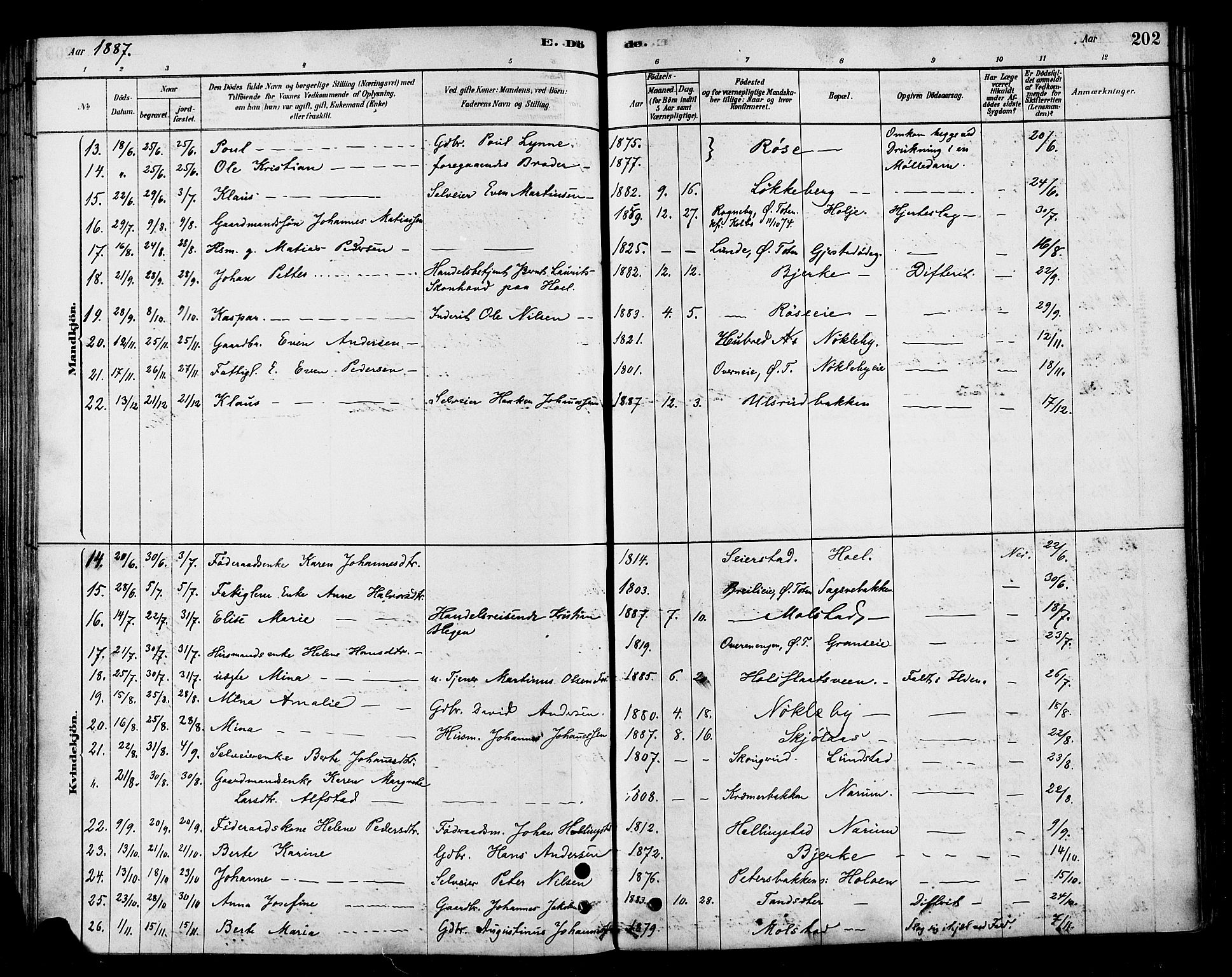 Vestre Toten prestekontor, SAH/PREST-108/H/Ha/Haa/L0010: Parish register (official) no. 10, 1878-1894, p. 202