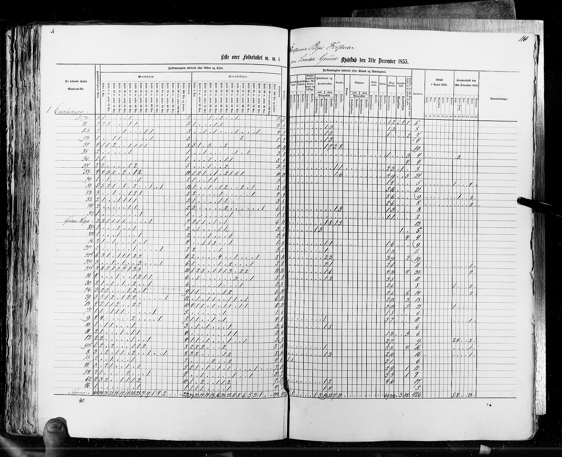 RA, Census 1855, vol. 7: Fredrikshald-Kragerø, 1855, p. 110