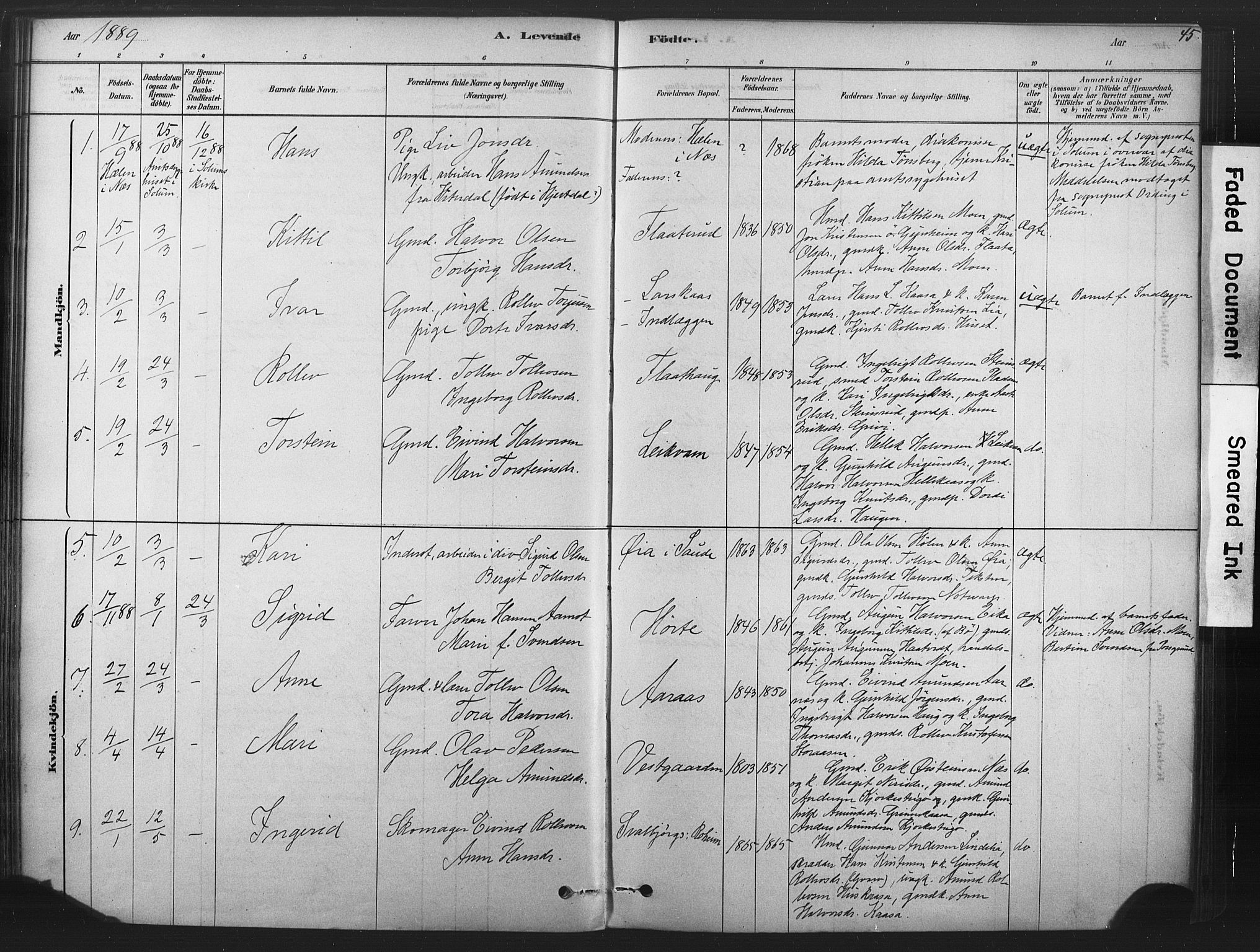 Sauherad kirkebøker, SAKO/A-298/F/Fb/L0002: Parish register (official) no. II 2, 1878-1901, p. 45