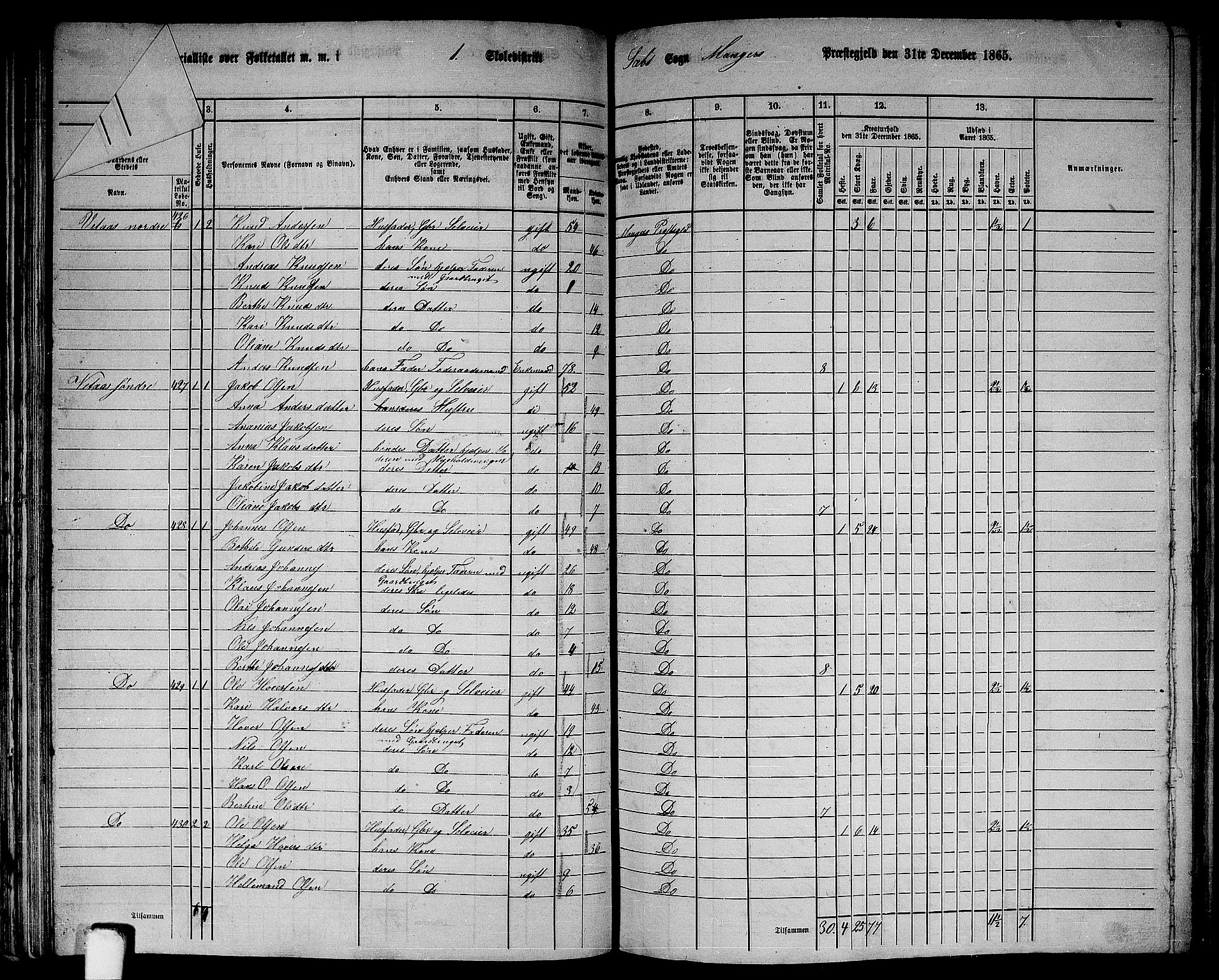 RA, 1865 census for Manger, 1865, p. 119