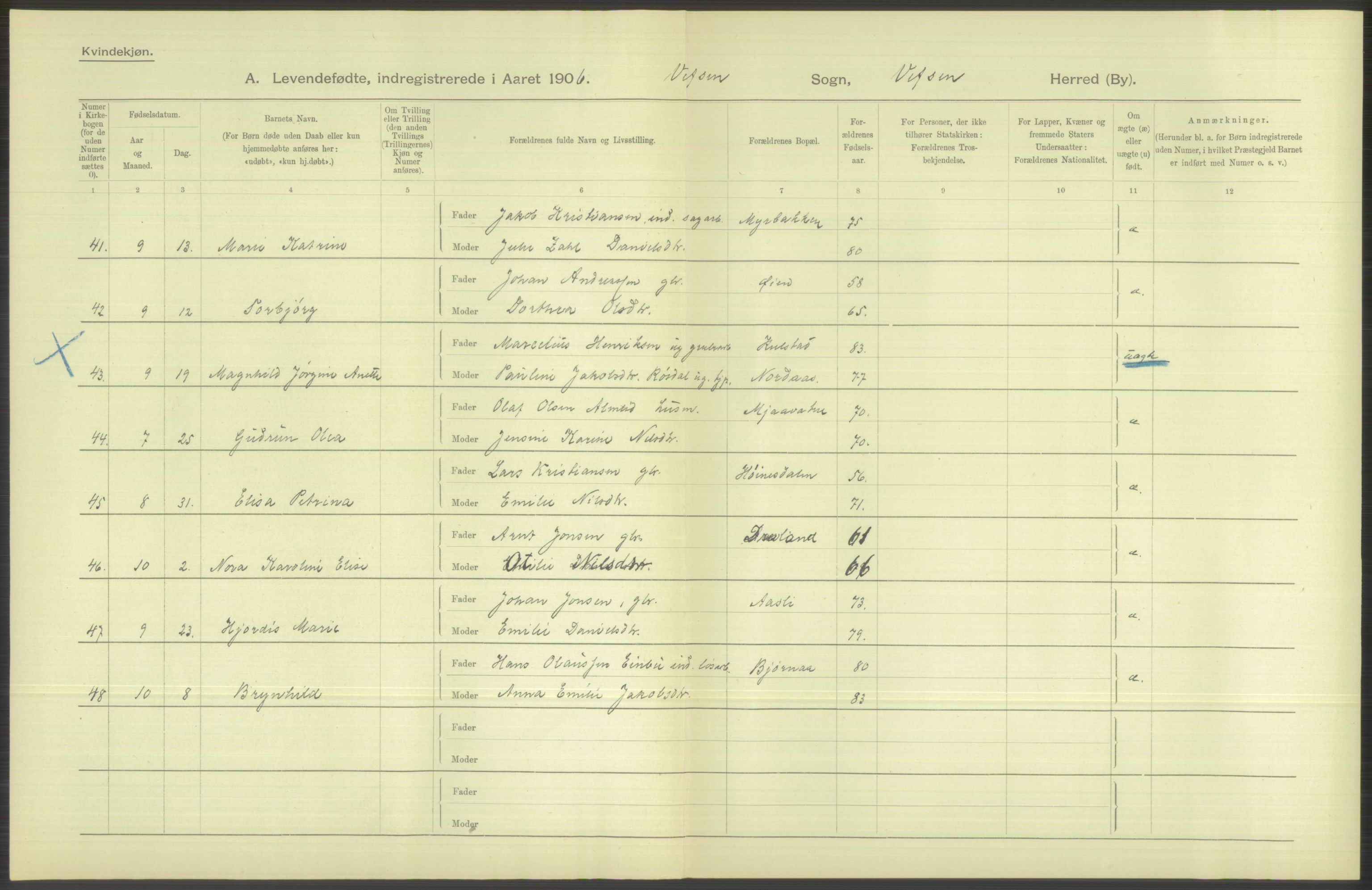 Statistisk sentralbyrå, Sosiodemografiske emner, Befolkning, AV/RA-S-2228/D/Df/Dfa/Dfad/L0043: Nordlands amt: Levendefødte menn og kvinner. Bygder., 1906, p. 46