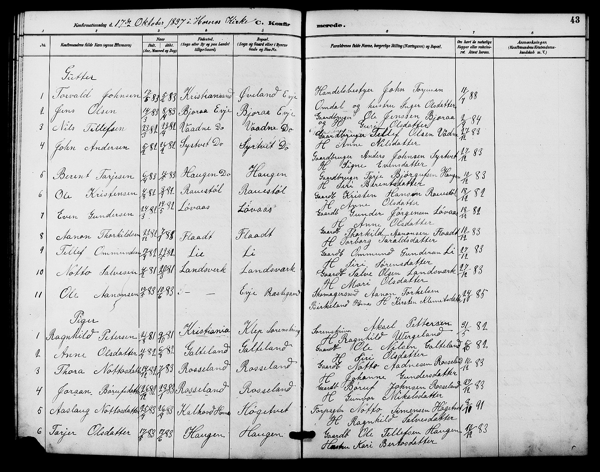 Evje sokneprestkontor, SAK/1111-0008/F/Fb/Fba/L0003: Parish register (copy) no. B 3, 1888-1903, p. 43