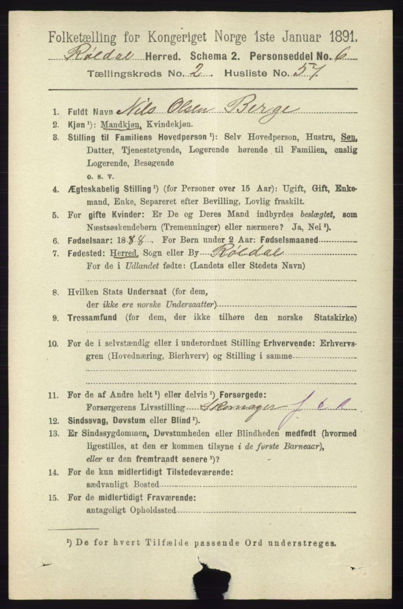 RA, 1891 census for 1229 Røldal, 1891, p. 849